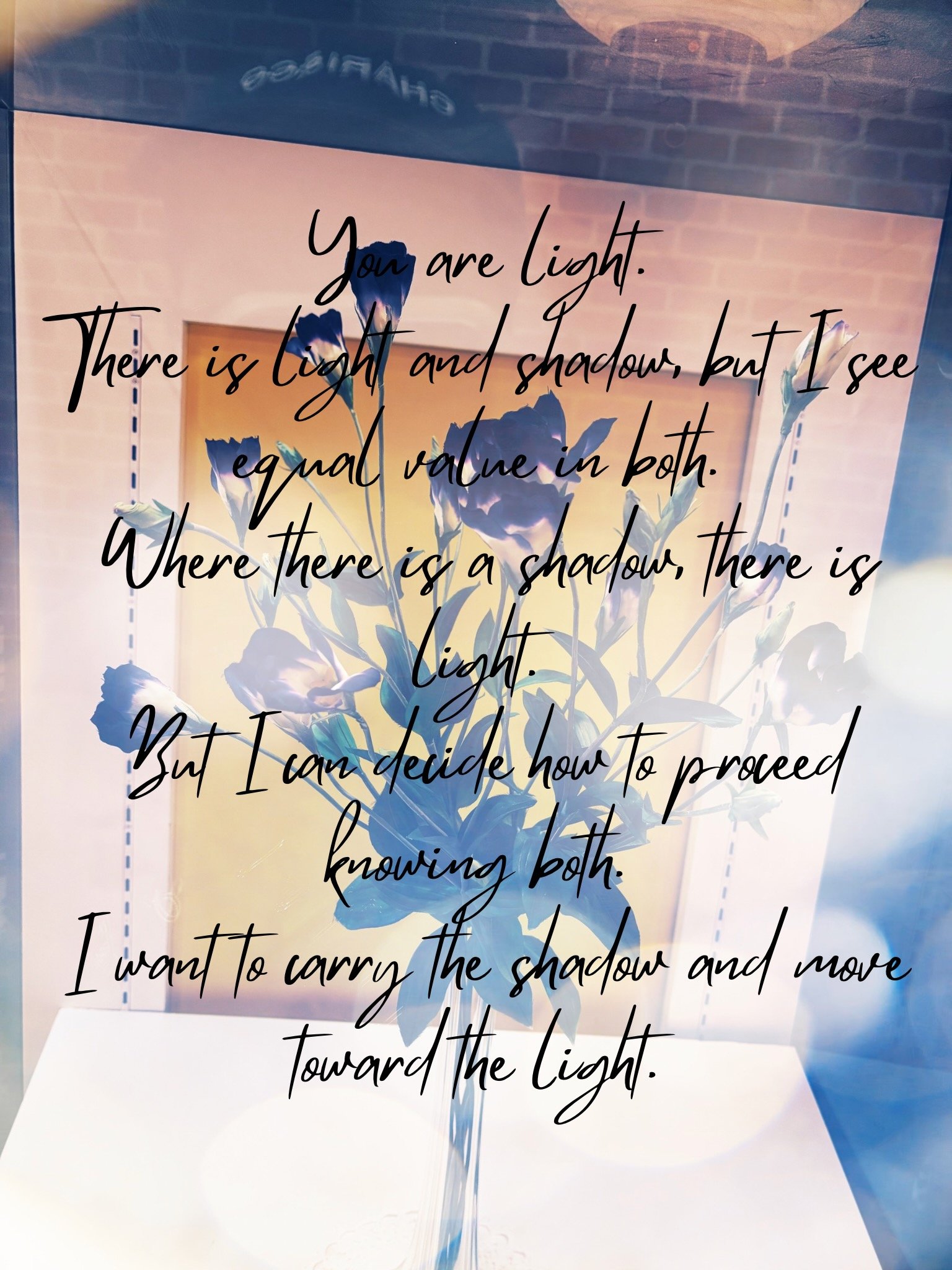 You are light. There is light and shadow, but I see equal value in both. Where there is a shadow, there is light. But I can decide how to proceed knowing both. I want to carry the shadow and move toward the light..jpeg