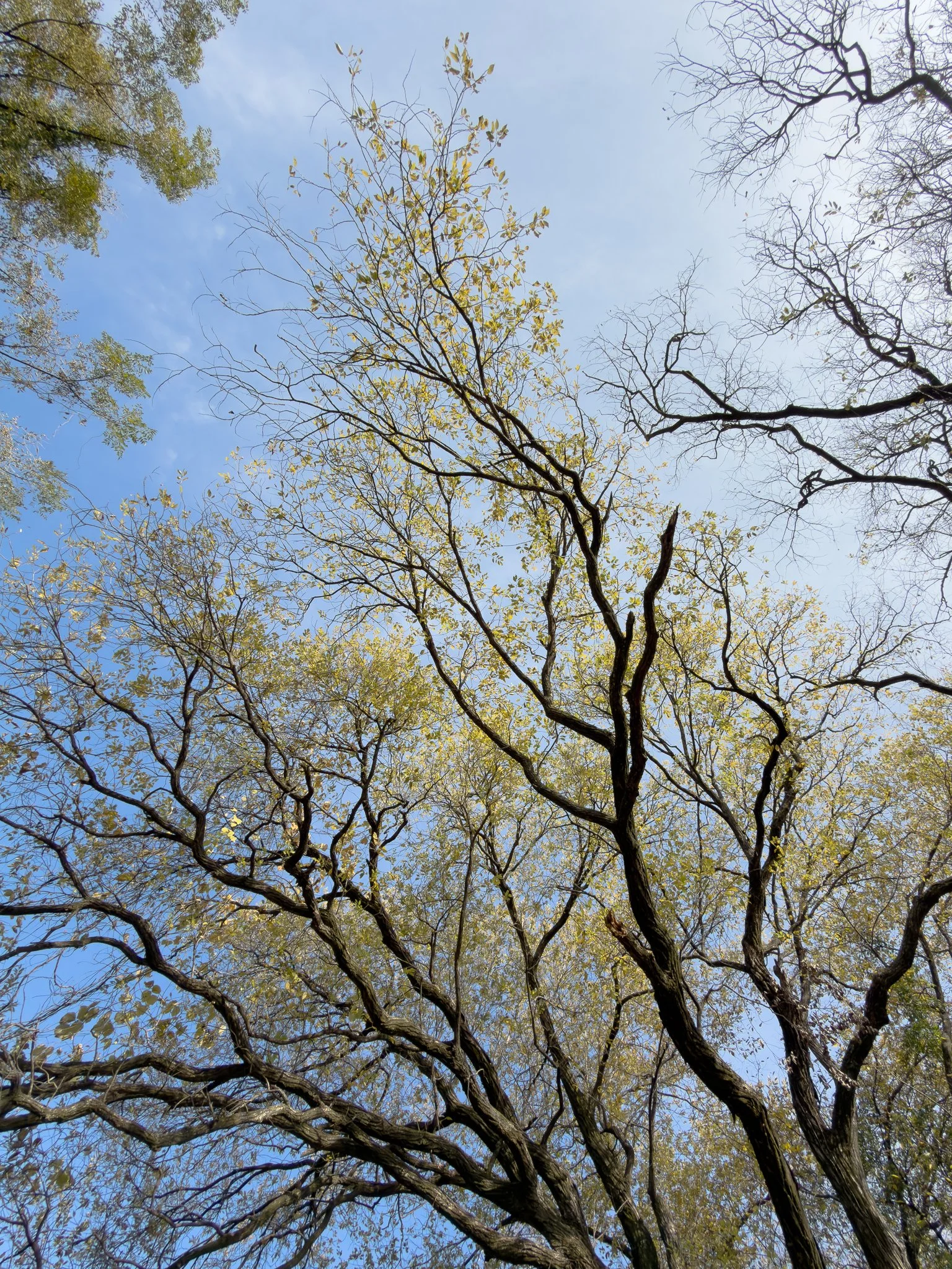 IMG_7977 コピー_SNS用.jpg