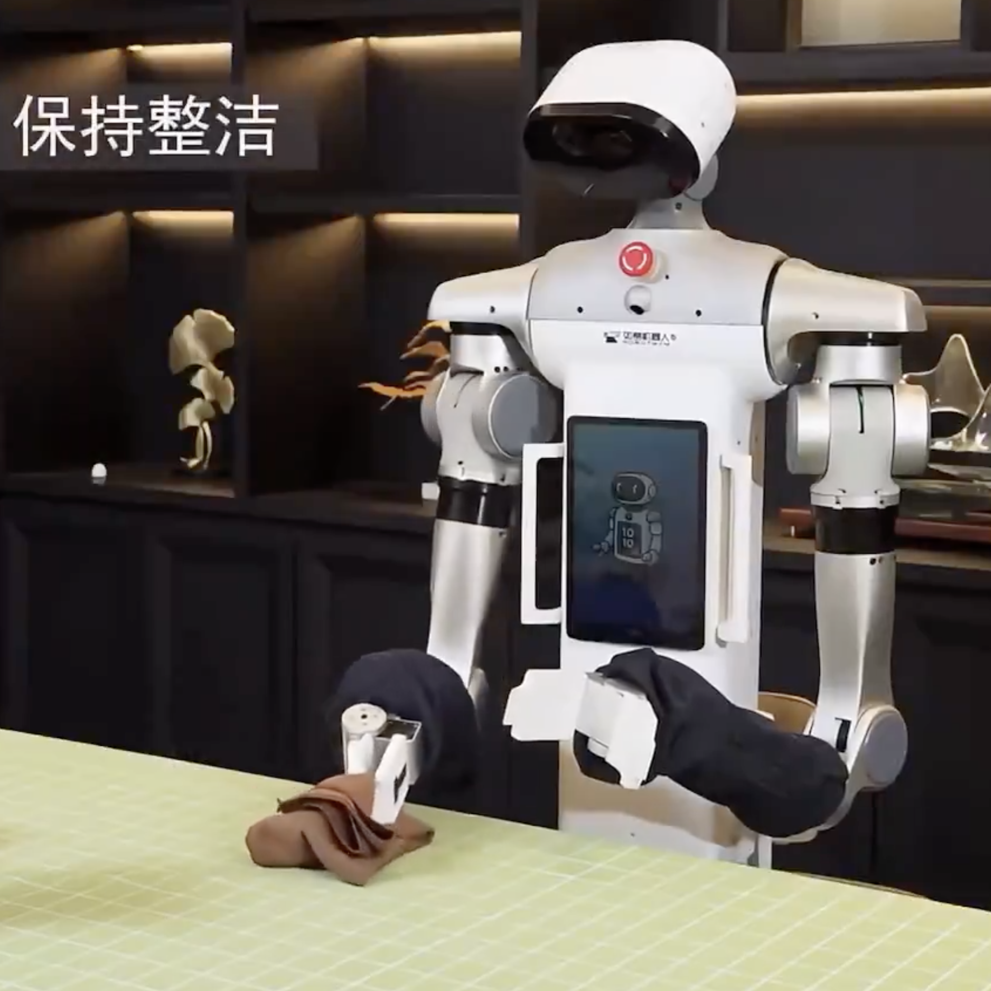 How Humanoids Should Enter Our Lives: Quietly, Helpfully, and With Our Dignity Intact
