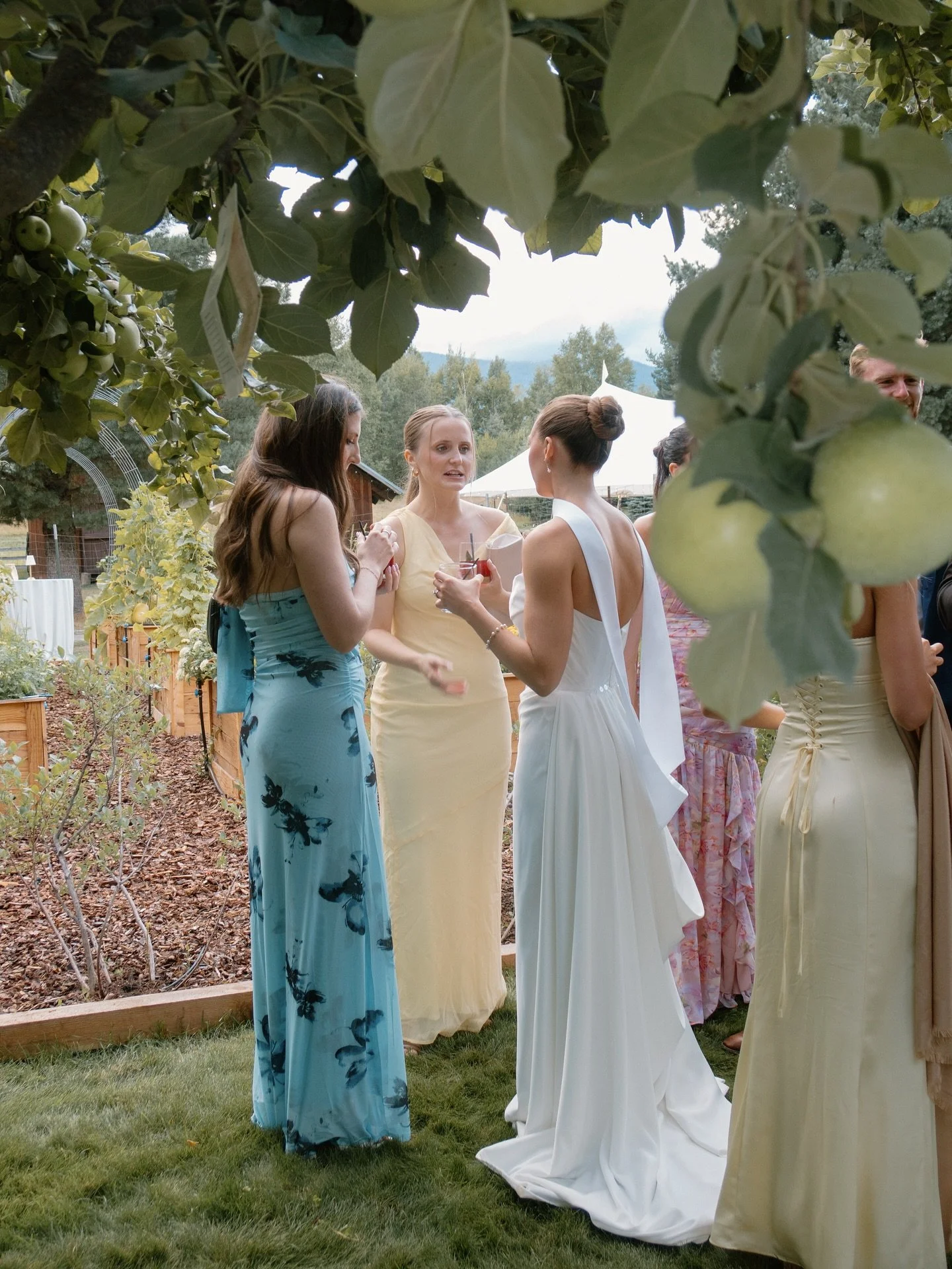 When cocktail hour is in the garden, you get the ultimate garden party🍏🥂 

Vendors &mdash;
Venue: Private Residence
Planning &amp; Design: @maisonglasco
Photography: @peytonrbyford
Floral: @adelaidecofloral
Rentals: @eventrentswa
Linens: @deborah_b