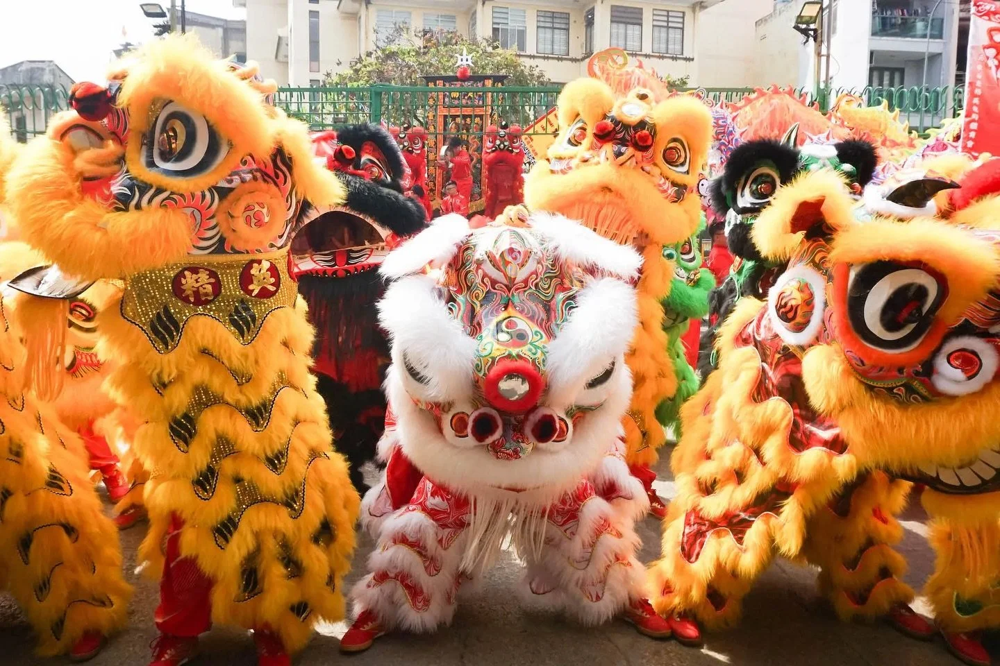 The lions are coming! 🐉✨
Join us today for a special M&uacute;a L&acirc;n lu&ocirc;n dance performance at Bao Toan.

🕜 Performance starts at 1:30 PM
🎉 Free to watch

Come celebrate Lunar New Year with us and welcome good luck, prosperity, and joy 