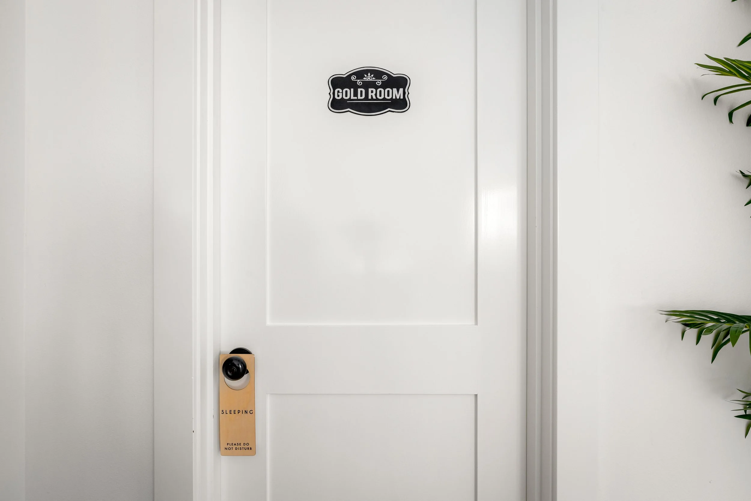 B&B 2880 (9 of 63).jpg