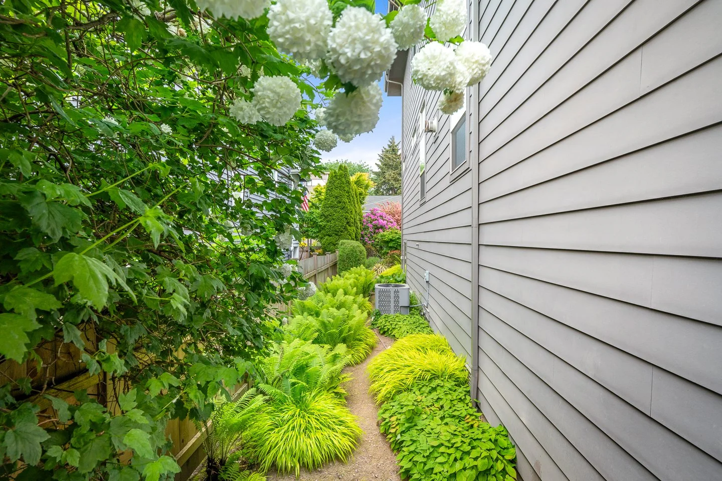 Yard AirBnB RES (7).jpg