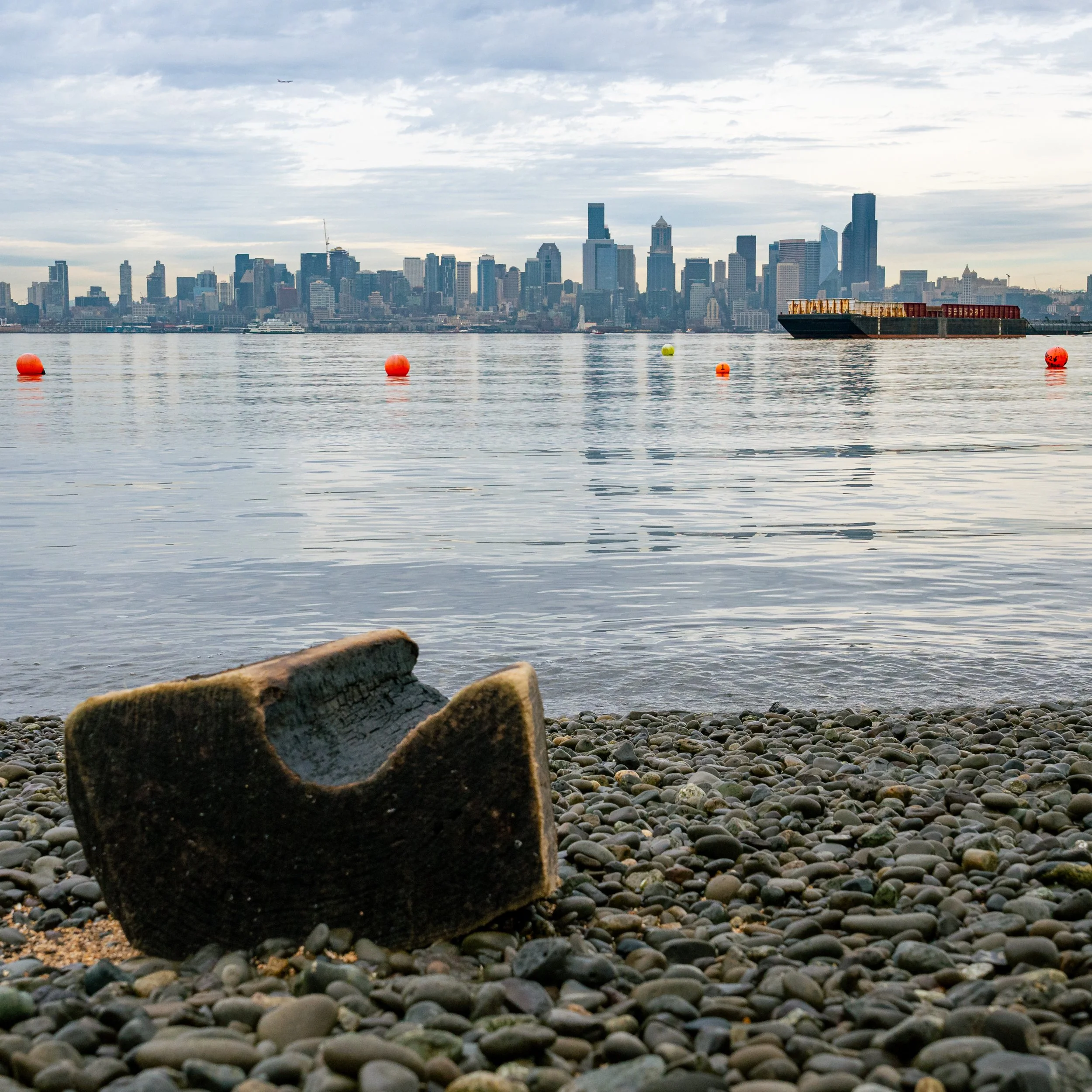 Neighborhood 2880 (3).jpg