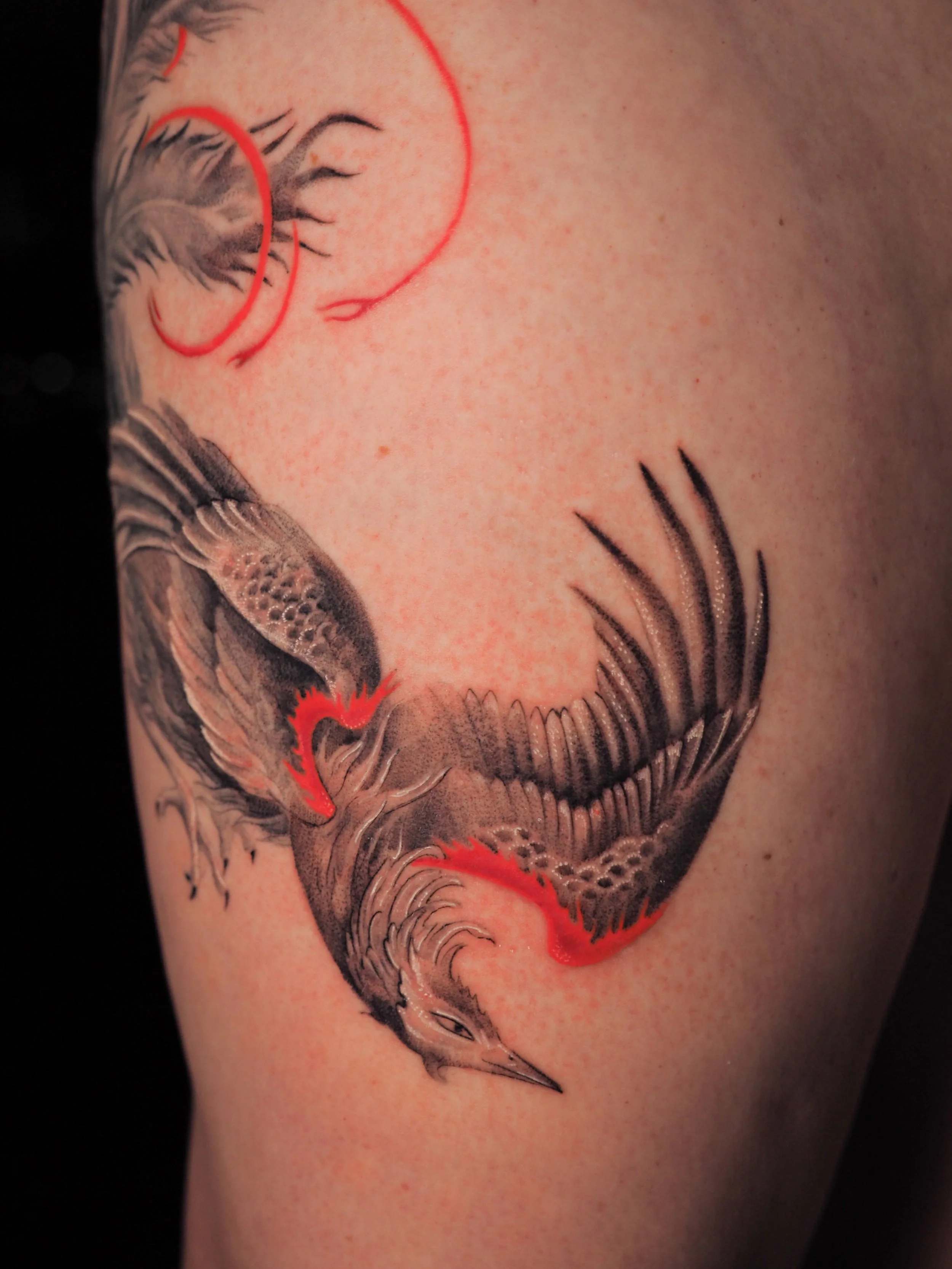 a Simurg tattoo- phoenix tattoo- custom design with red