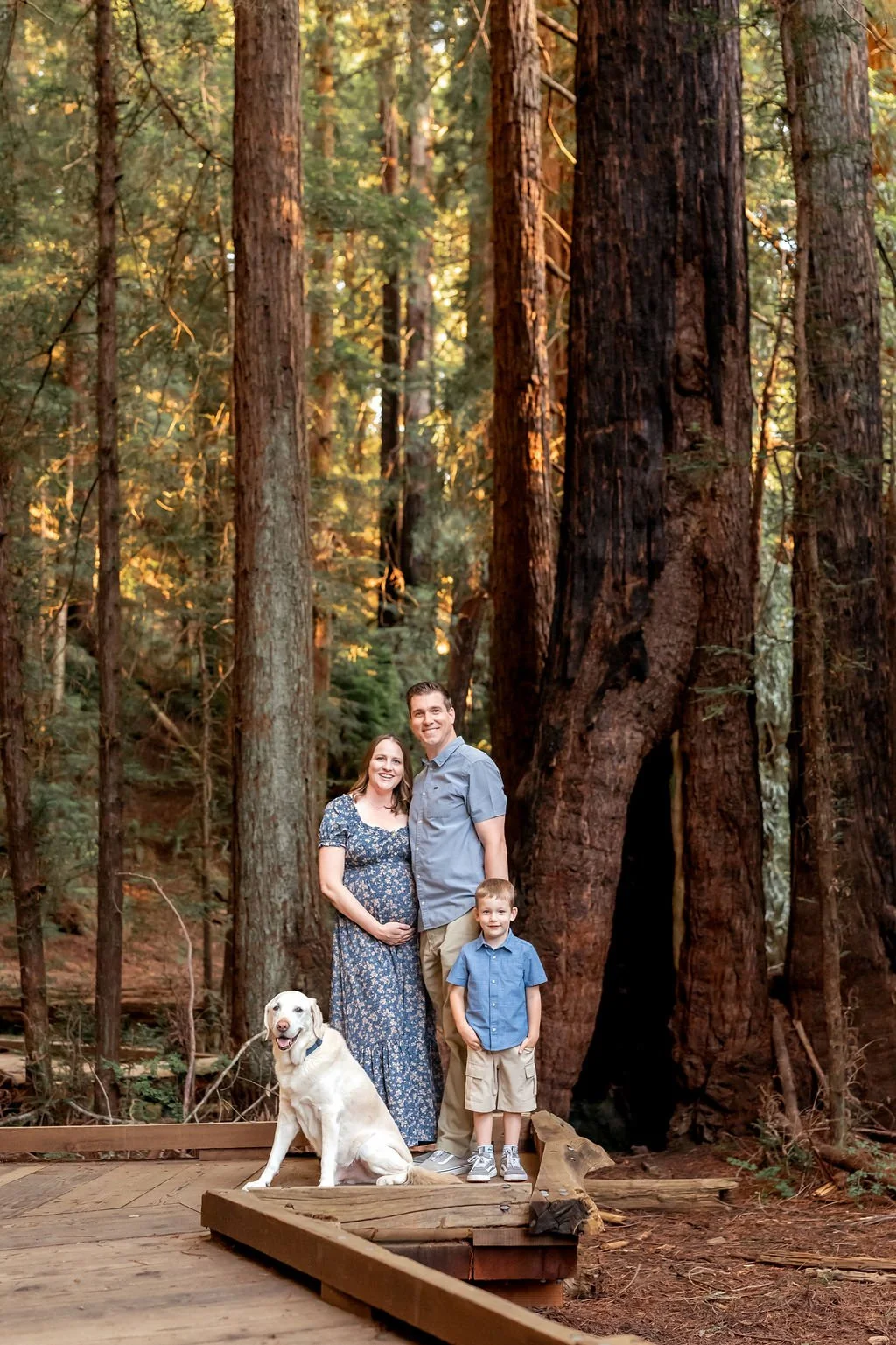family-and-dog-posing-in-maternity-photography-session.jpg