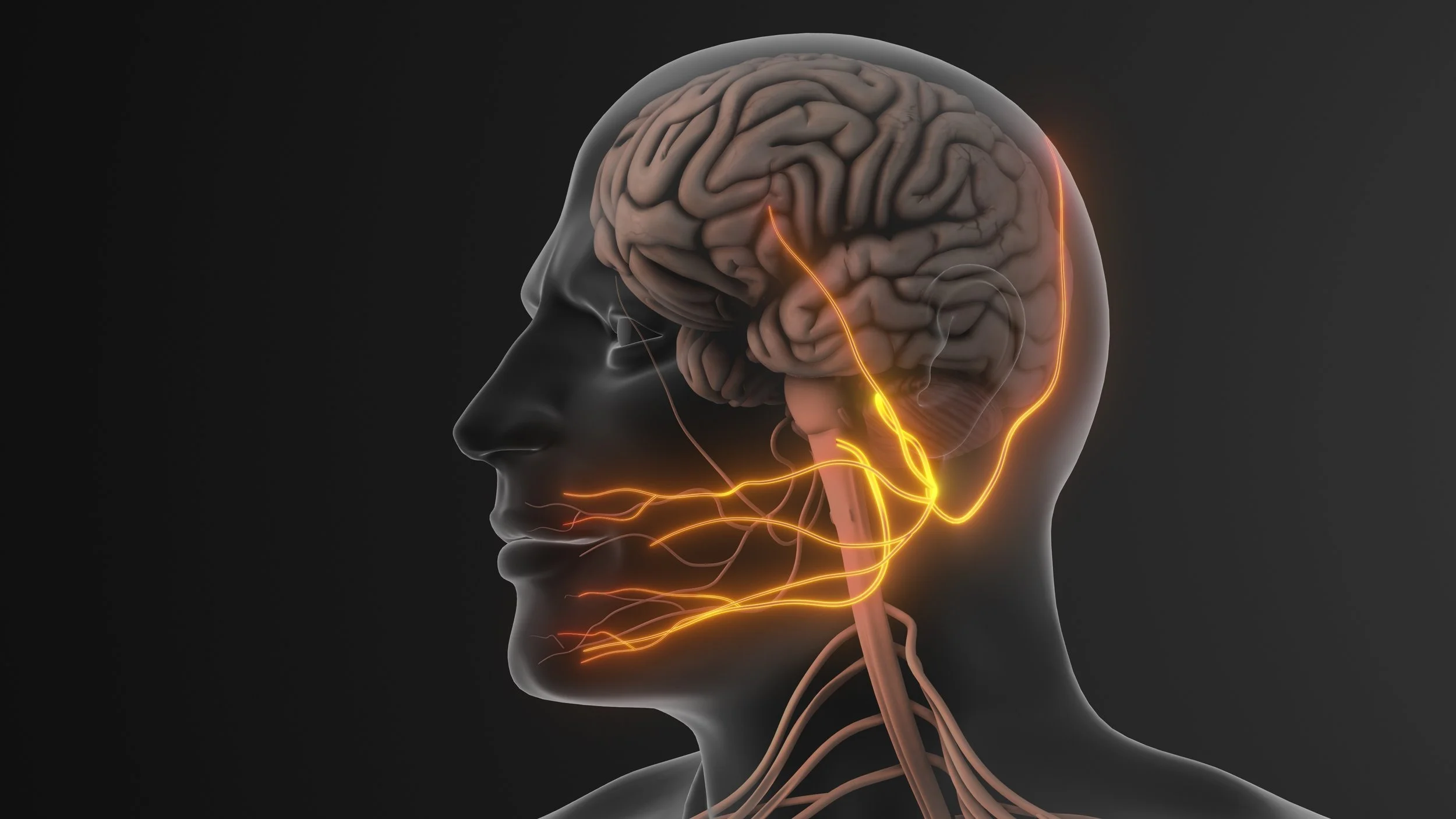 Hidden Nerve &amp; Neck Tension
