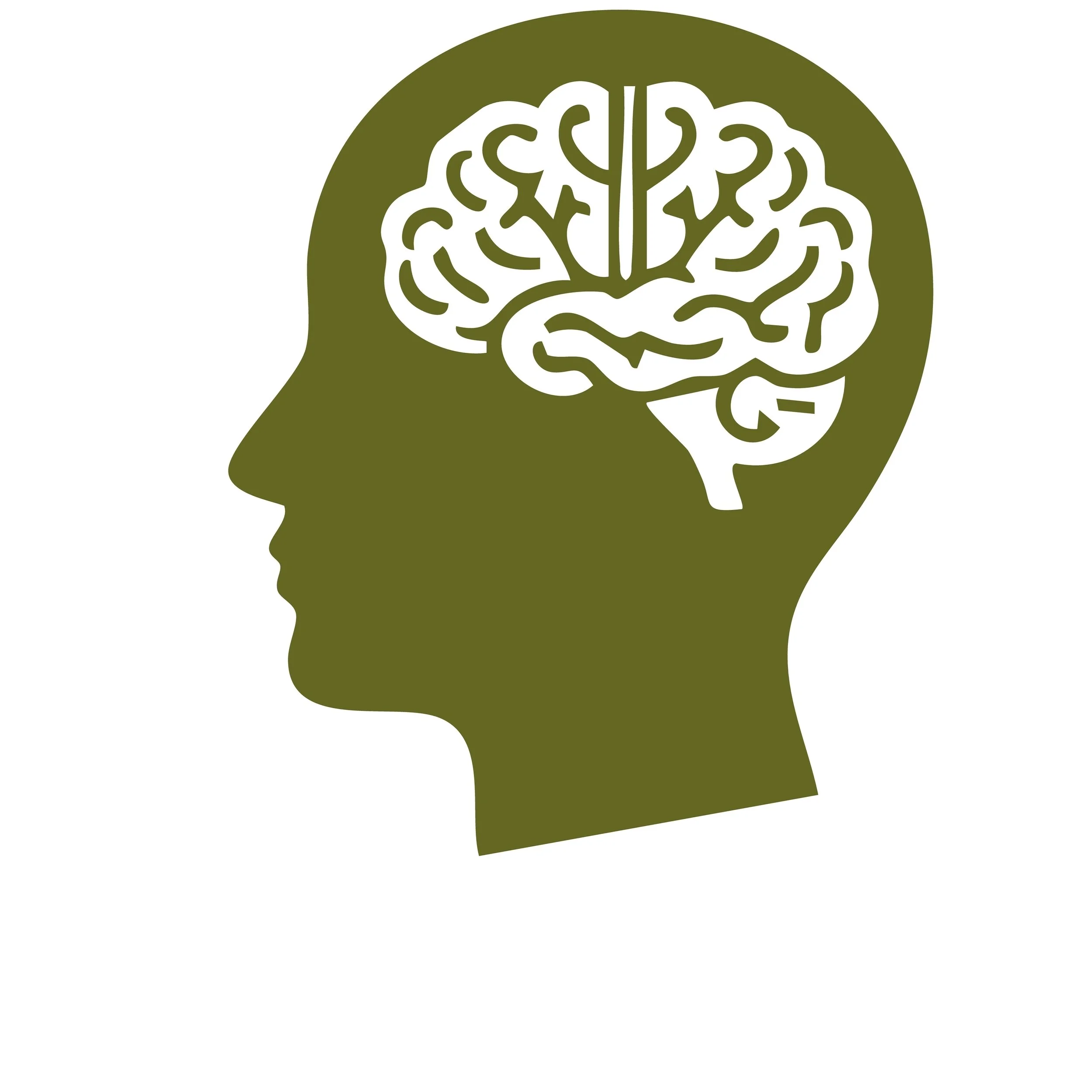 The Brain Was Never Designed for Repetition Alone