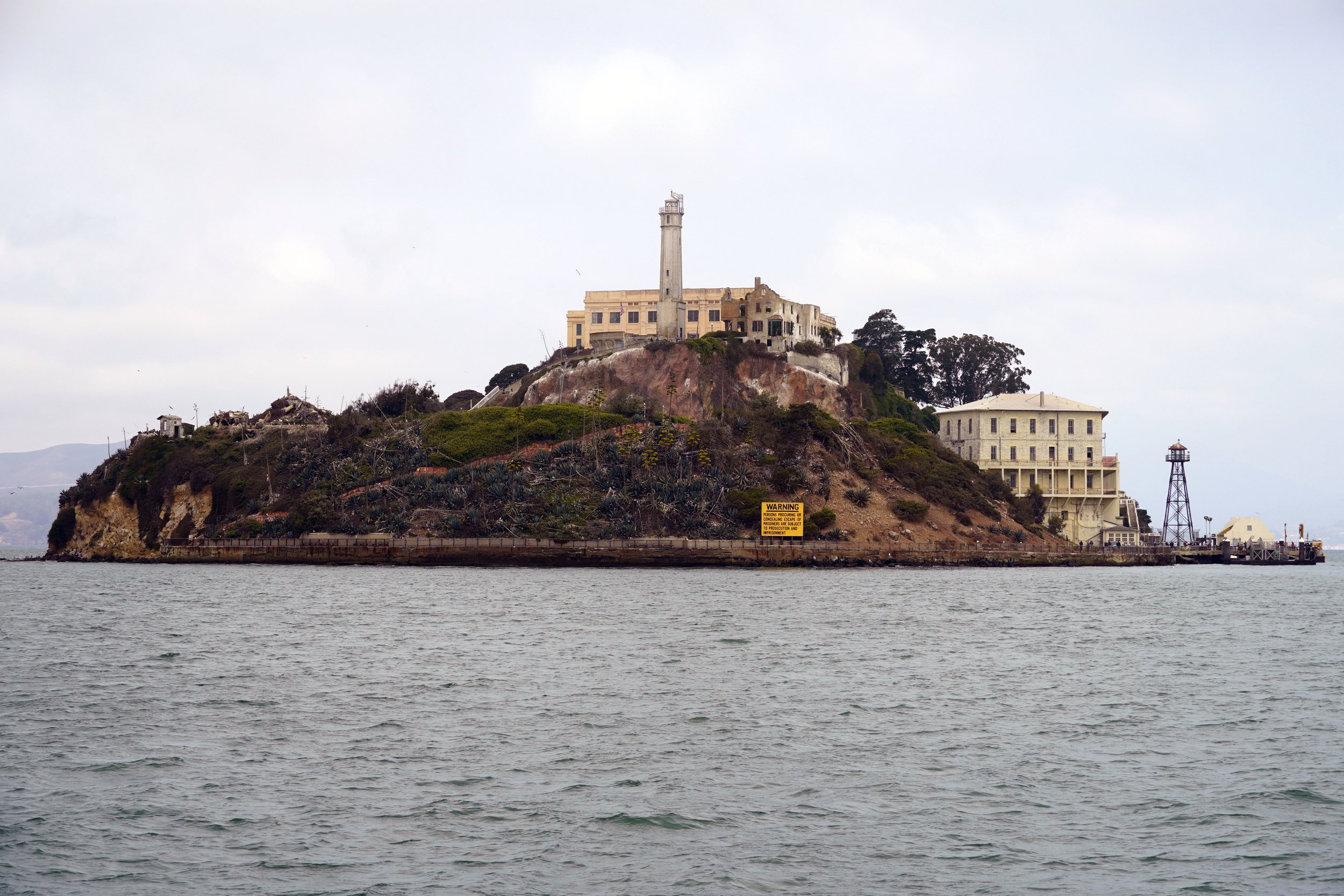 DSC06237-a.jpg