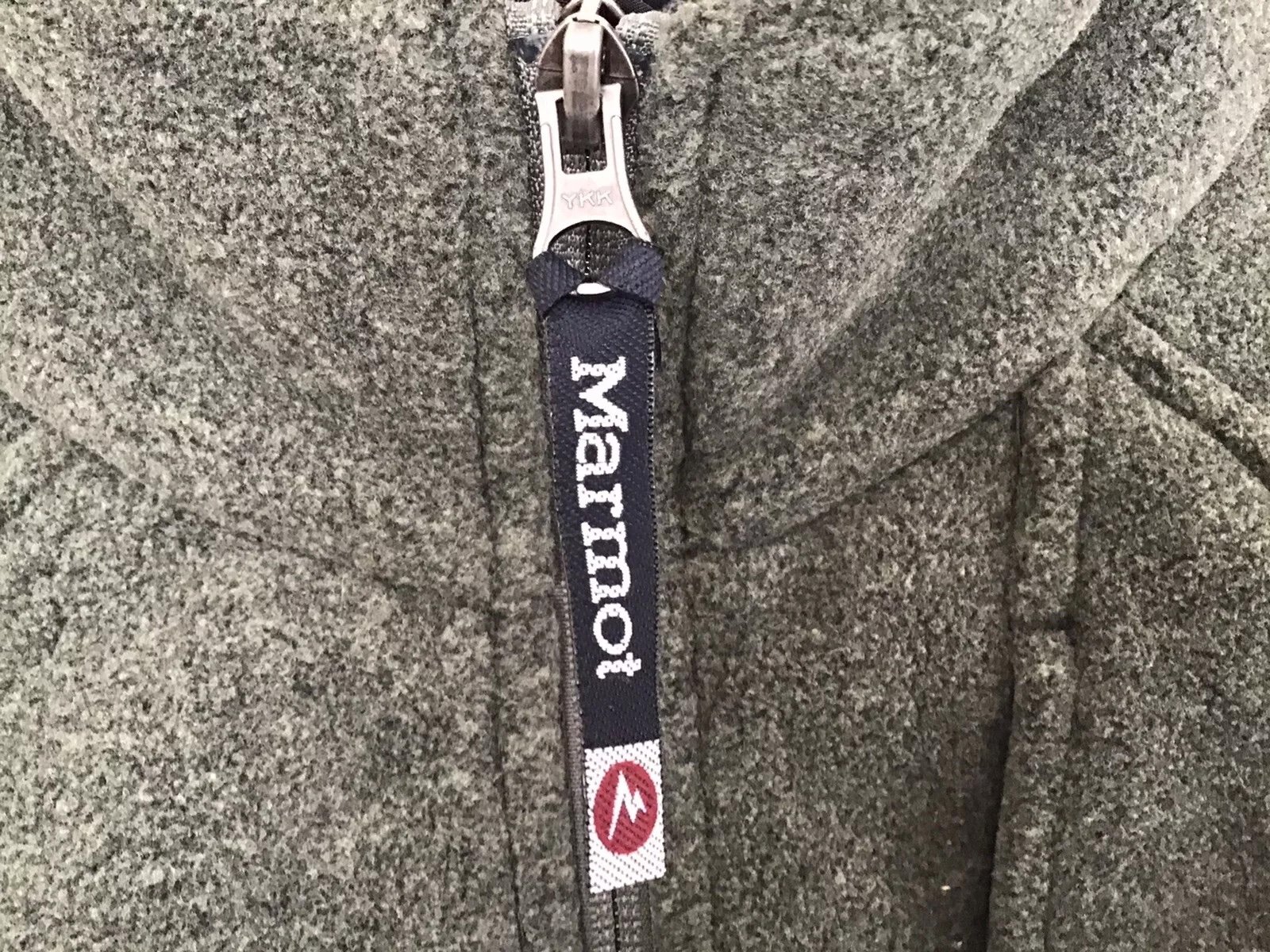 Marmot 5.jpeg