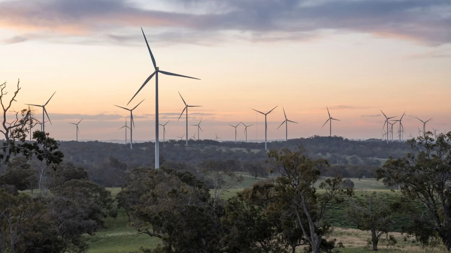Sapphire Wind Farm 270 MW