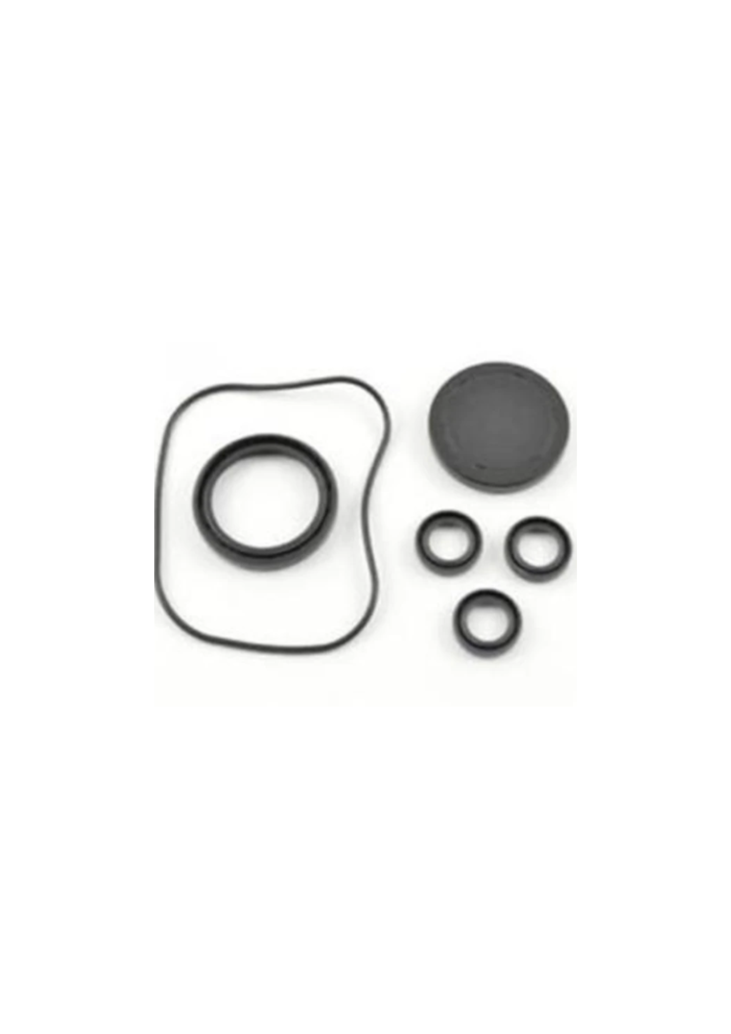 AR Repair/Service Oil Seal Kit