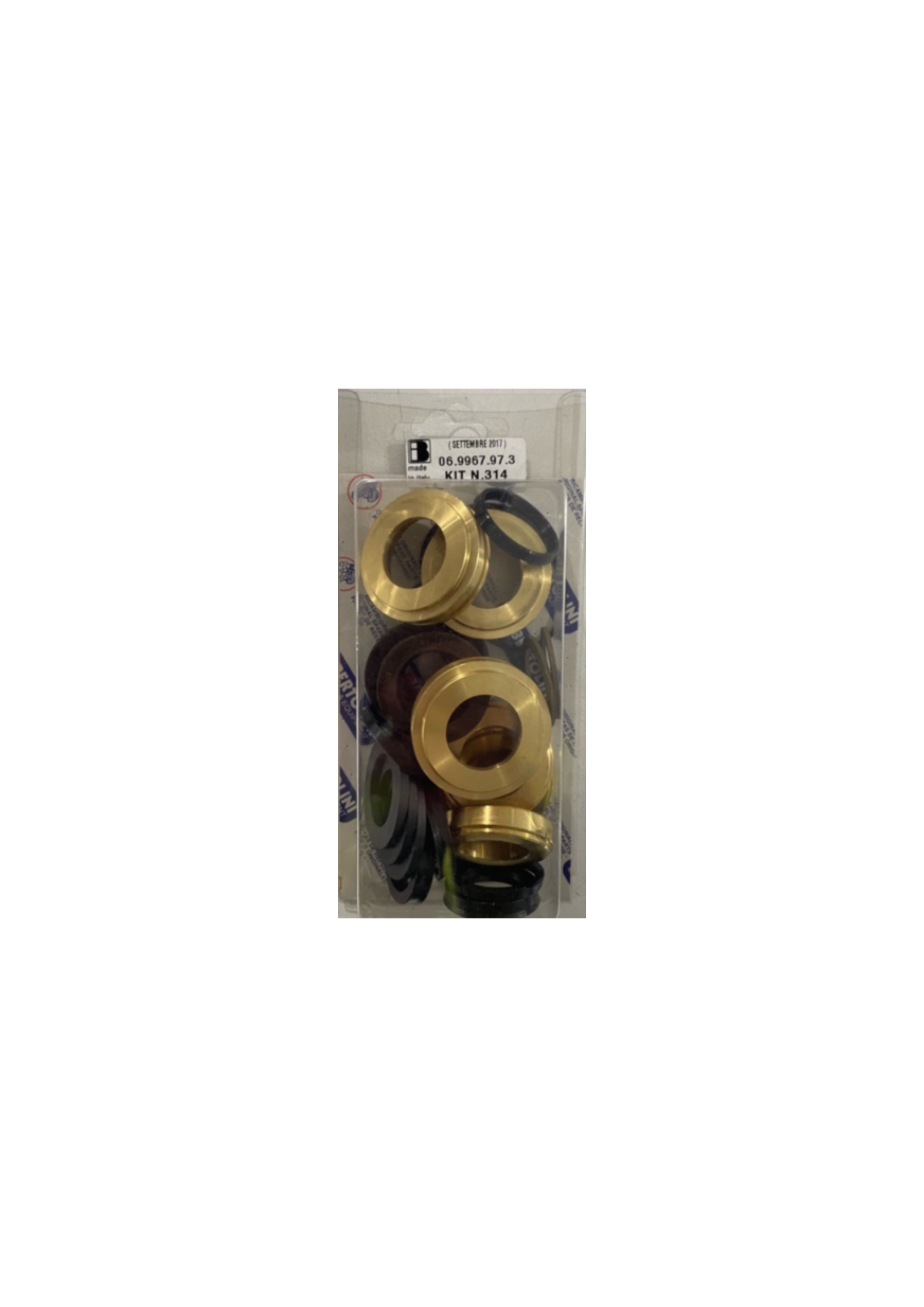 Bertolini Major Seal Kit 314