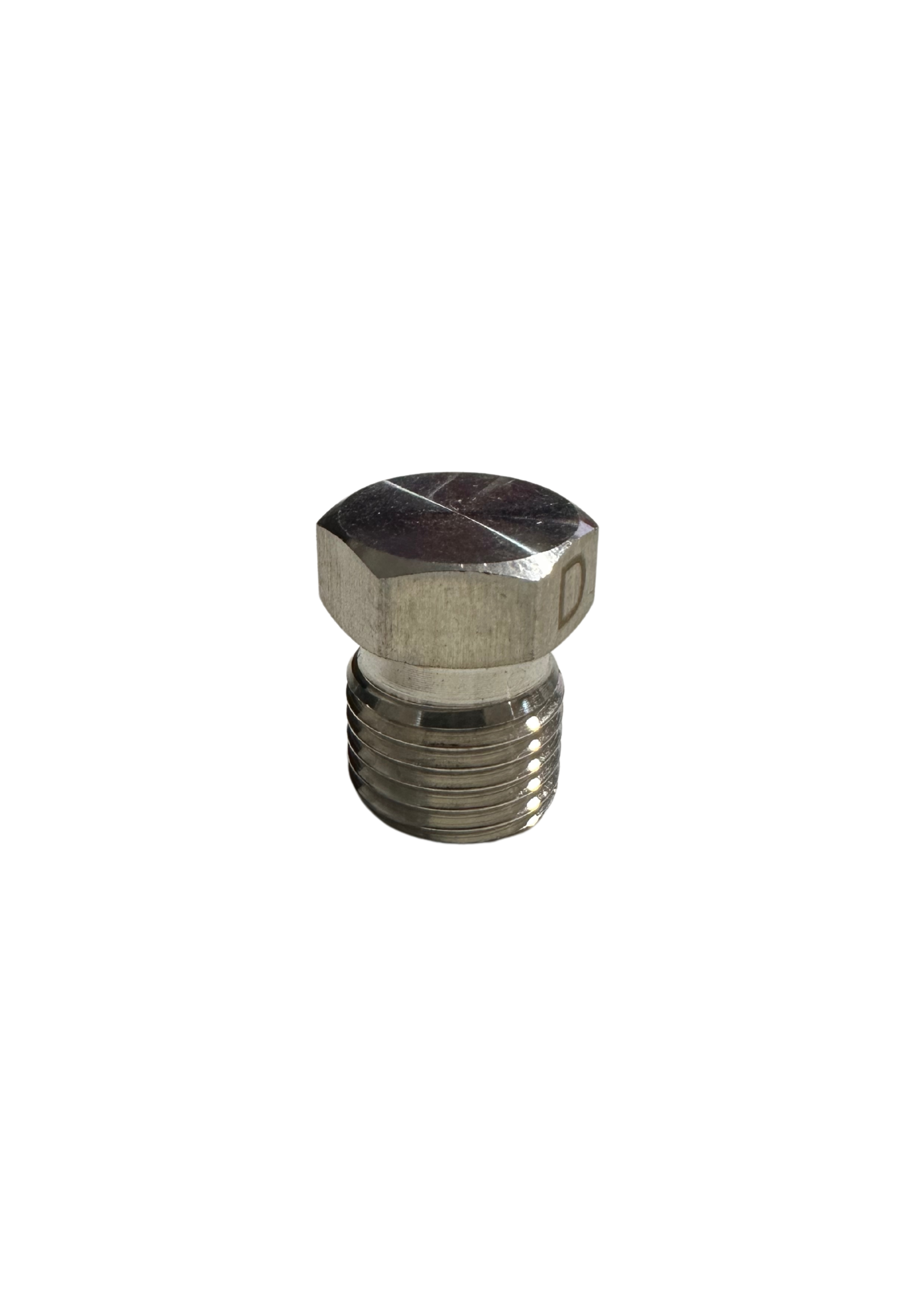 Stainless Steel Plug BSP