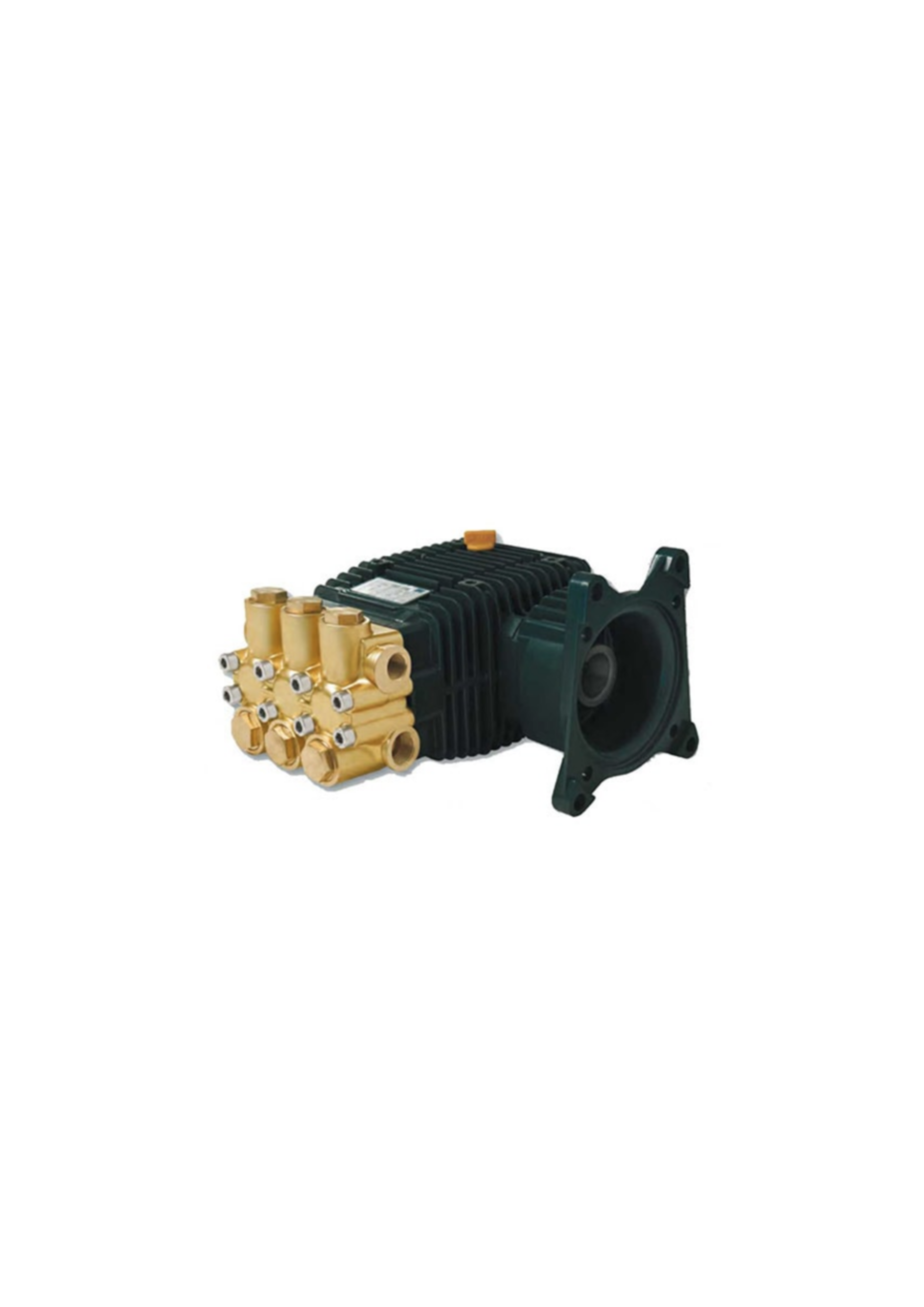 Bertolini Pump TMG4035