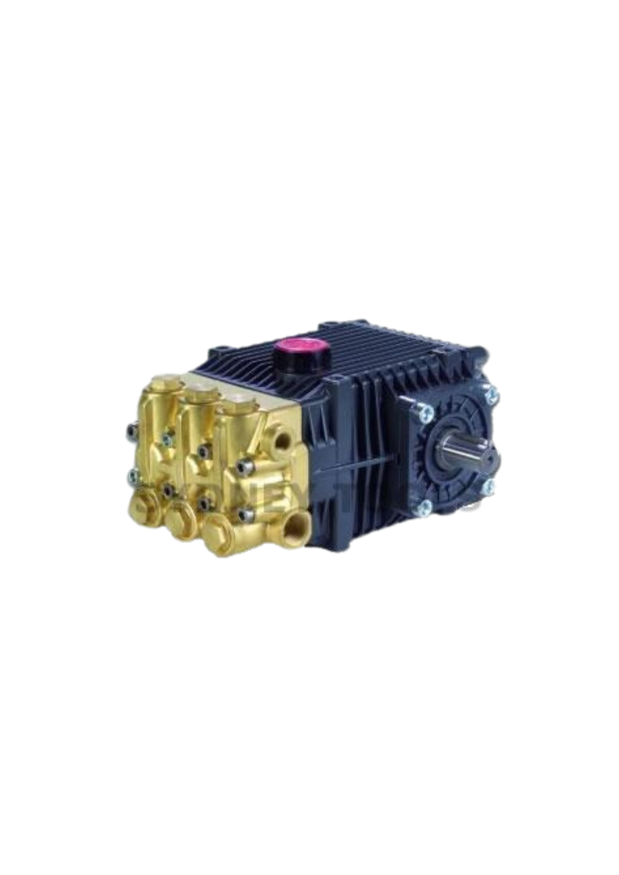 Bertolini Pump KTL 2035