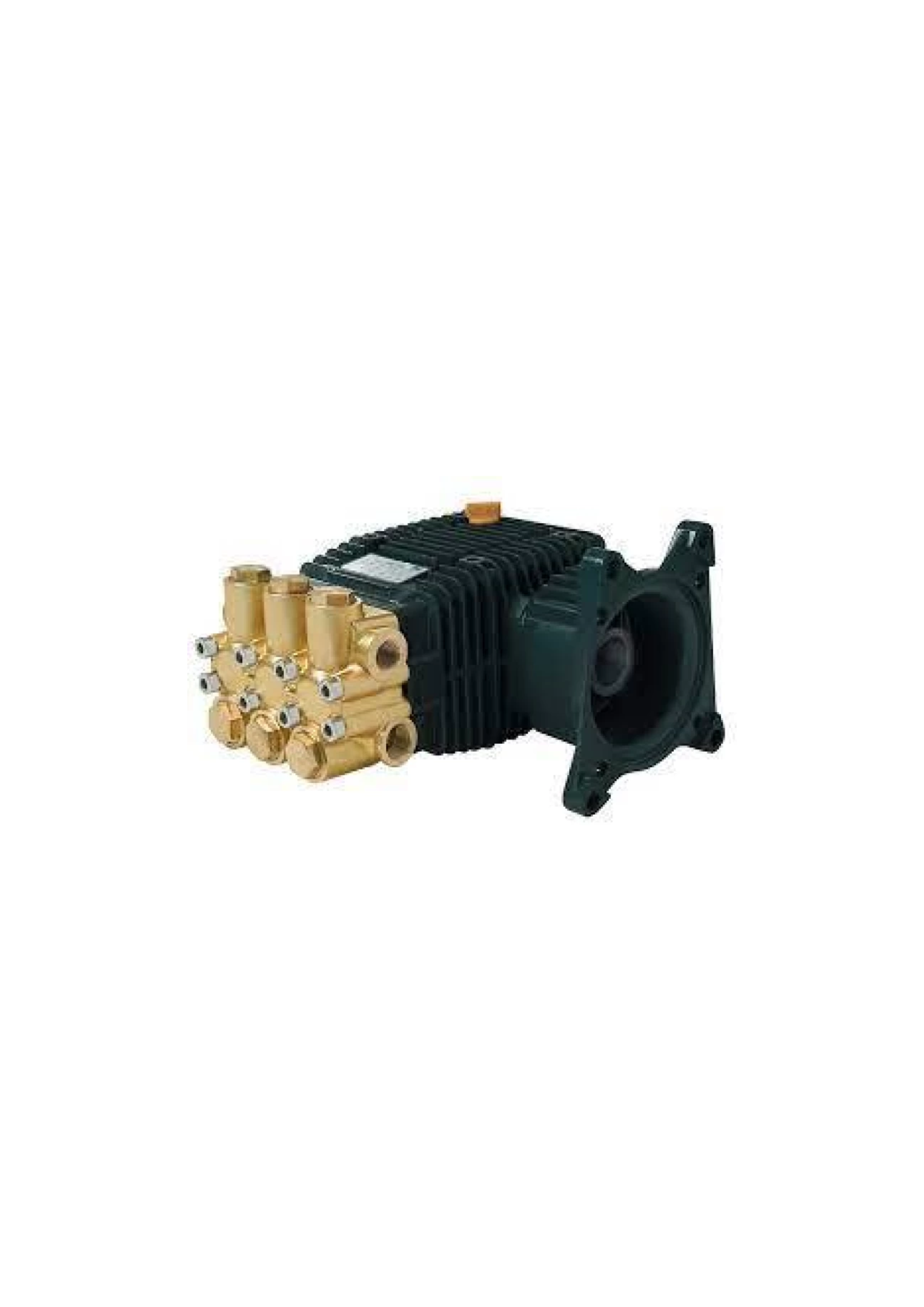 Bertolini Pump TMG 3550