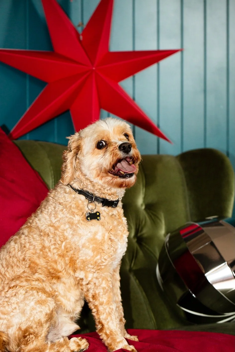 The Peacock Estate-11.jpg