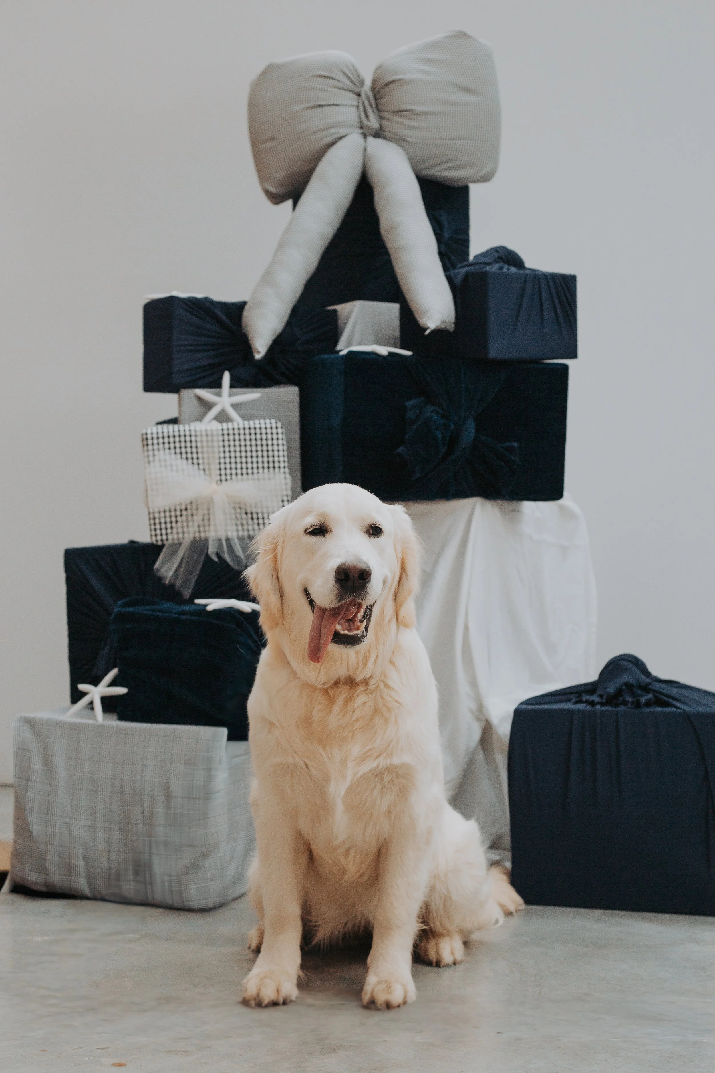 Santa Paws-11.jpg