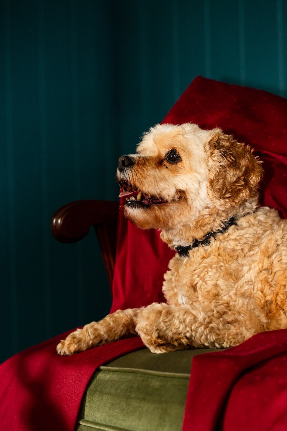 The Peacock Estate-09.jpg