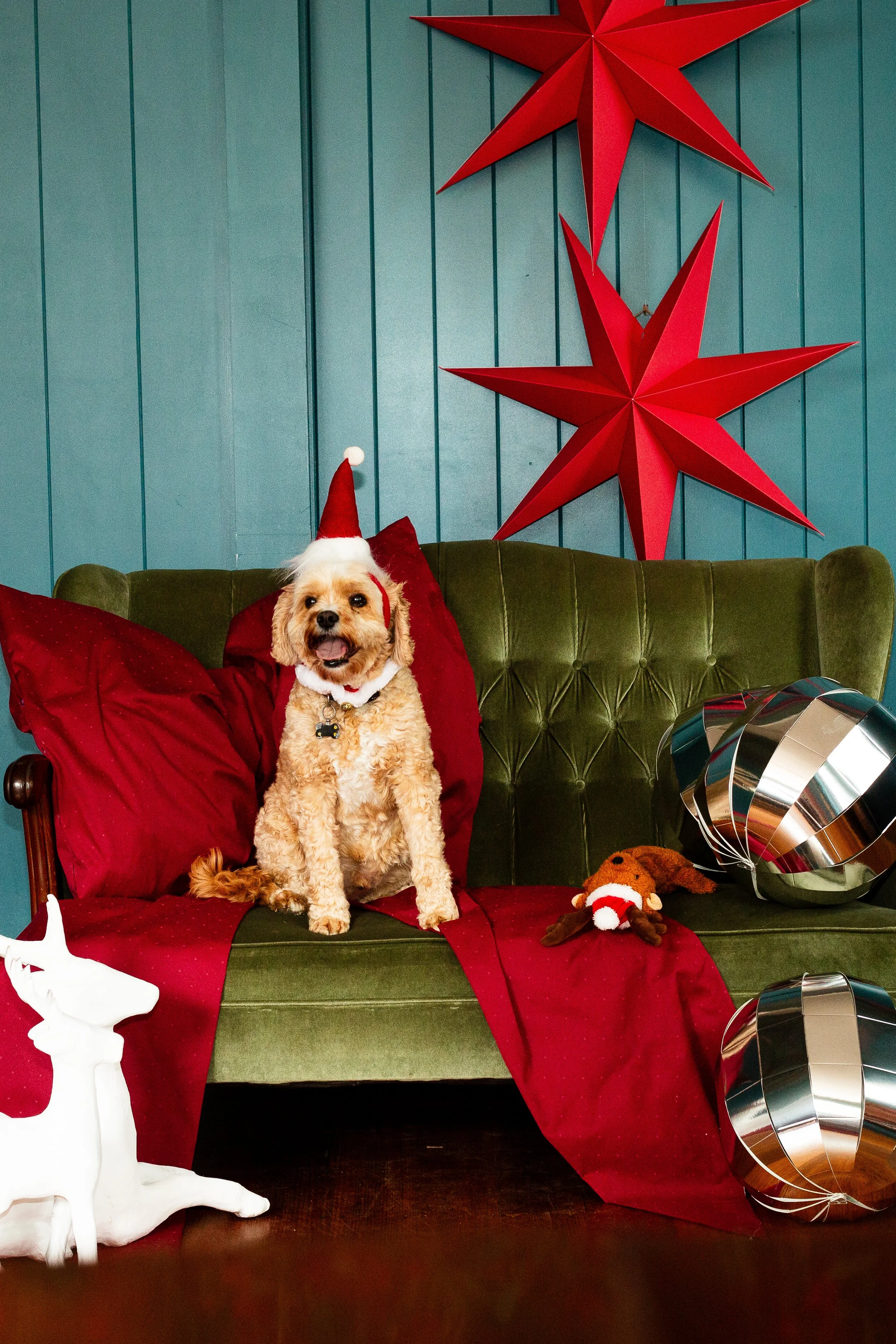 The Peacock Estate-14.jpg