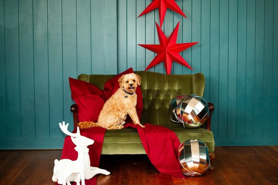 The Peacock Estate-12.jpg