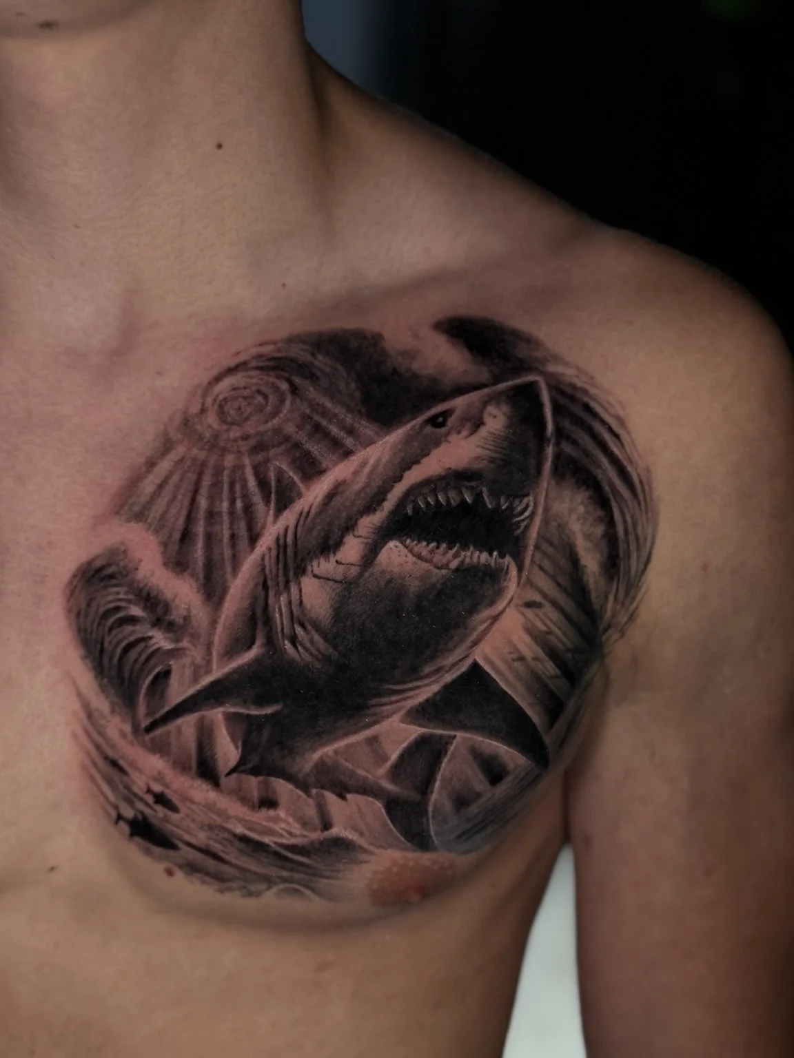 Black and grey realistic shark shoulder tattoo by Alina Horobets, Bournemouth