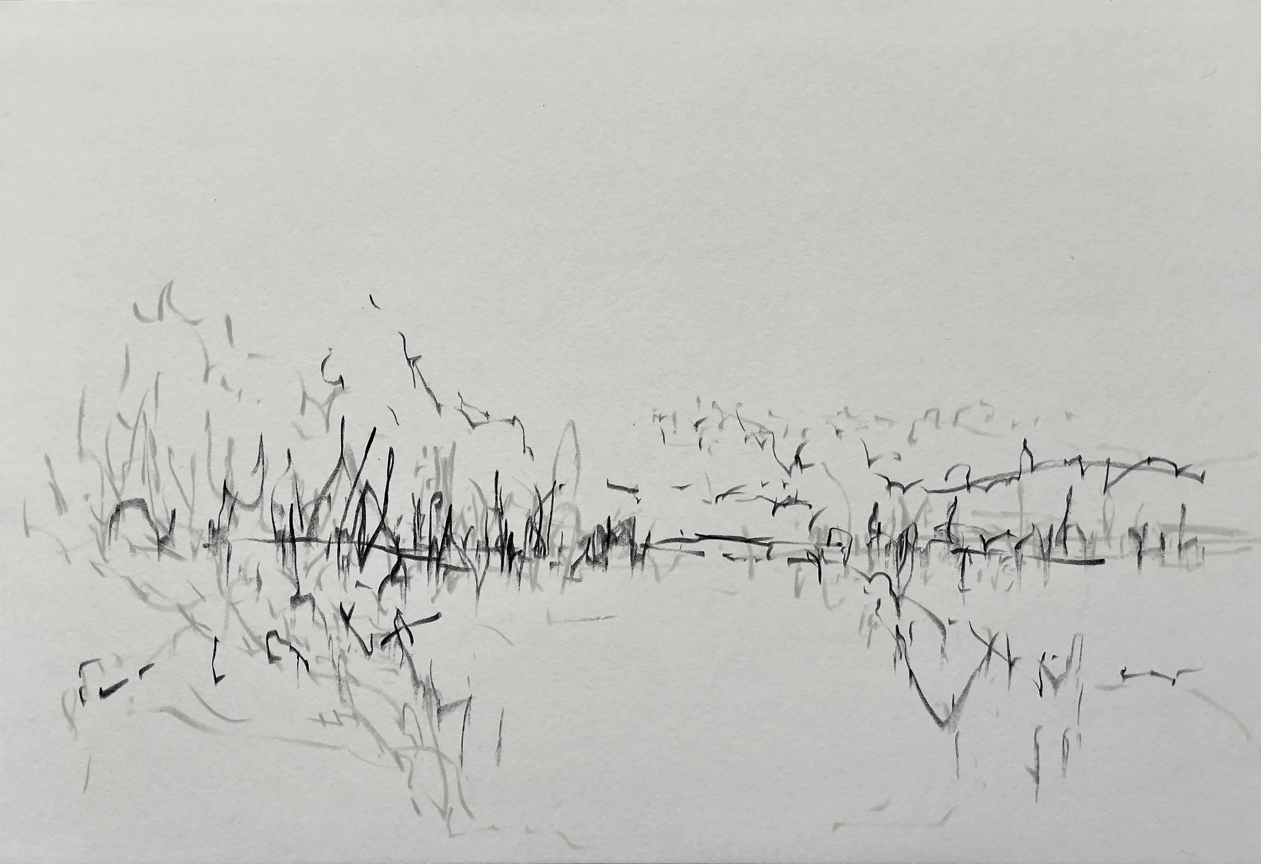 One of my favourite sketches to date. Looking west down the Shoalhaven River from Terara.