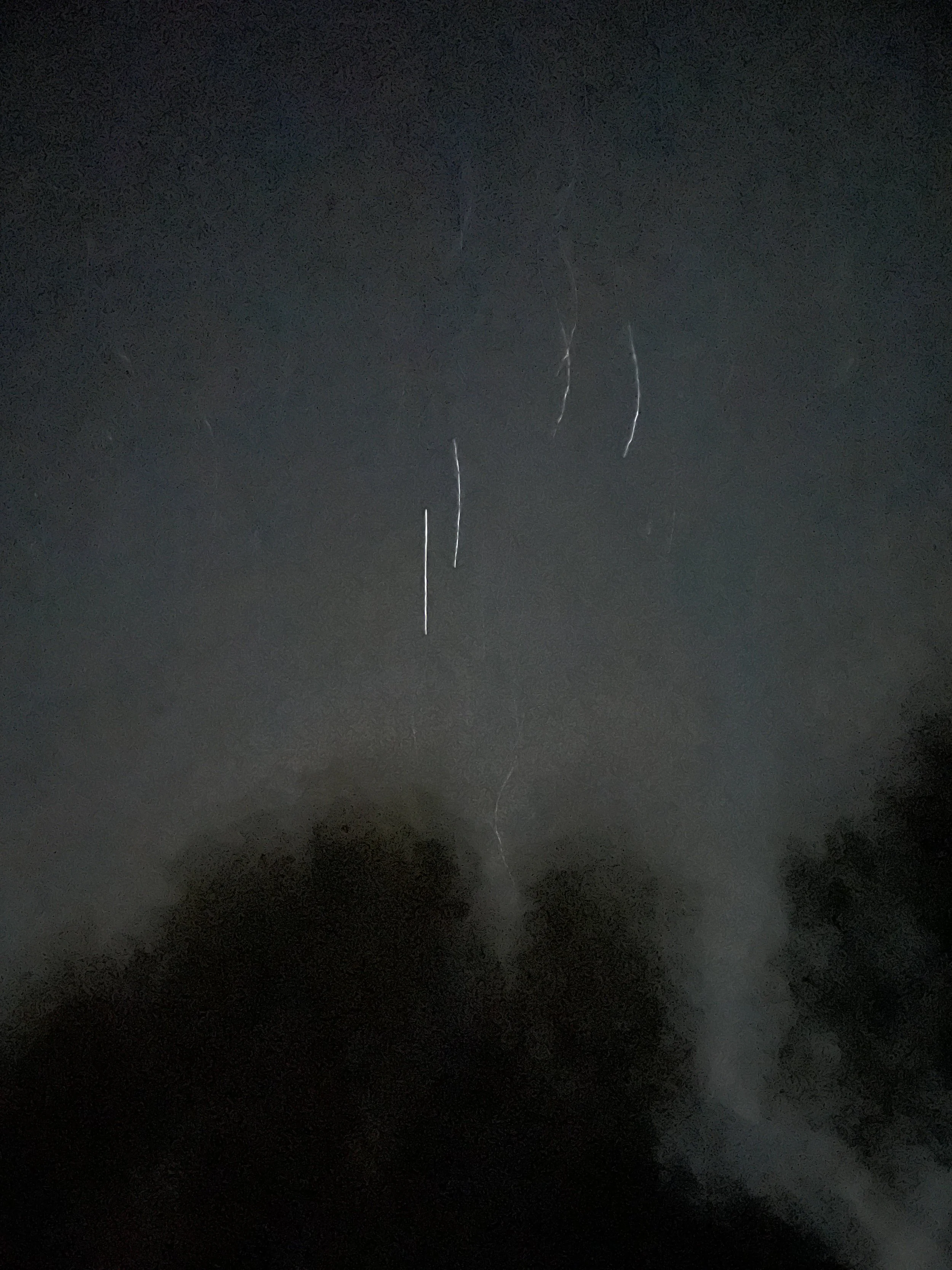 The night sky falling over our neighbour's peppercorn tree.