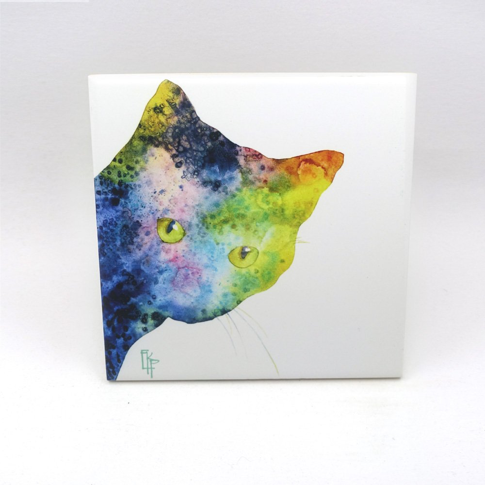 Colorful Cat