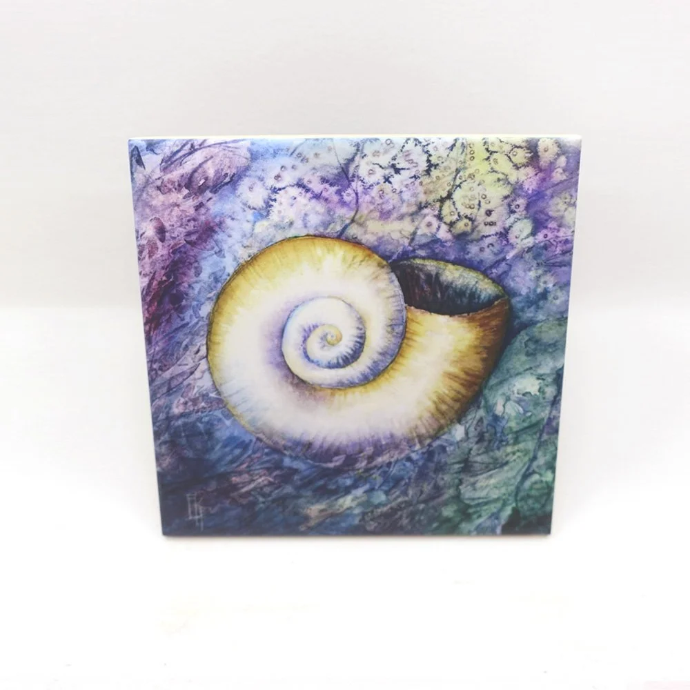 Snail