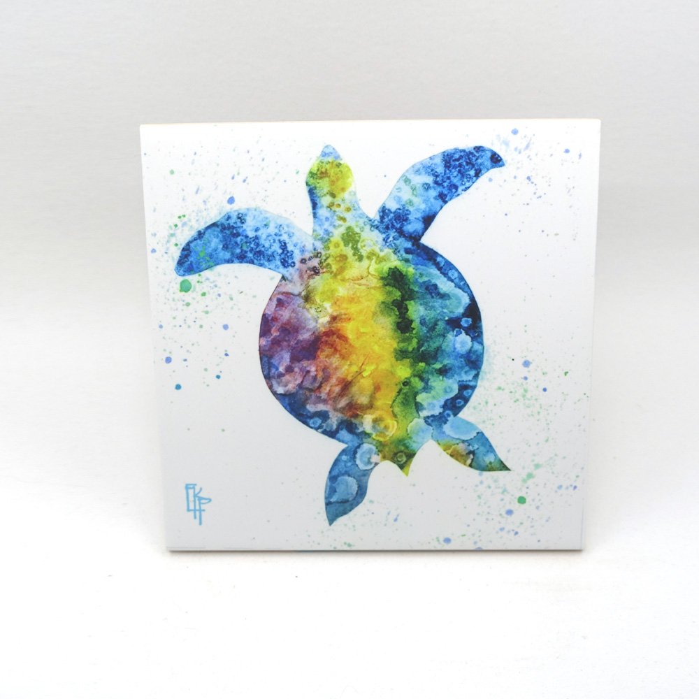 Colorful Turtle