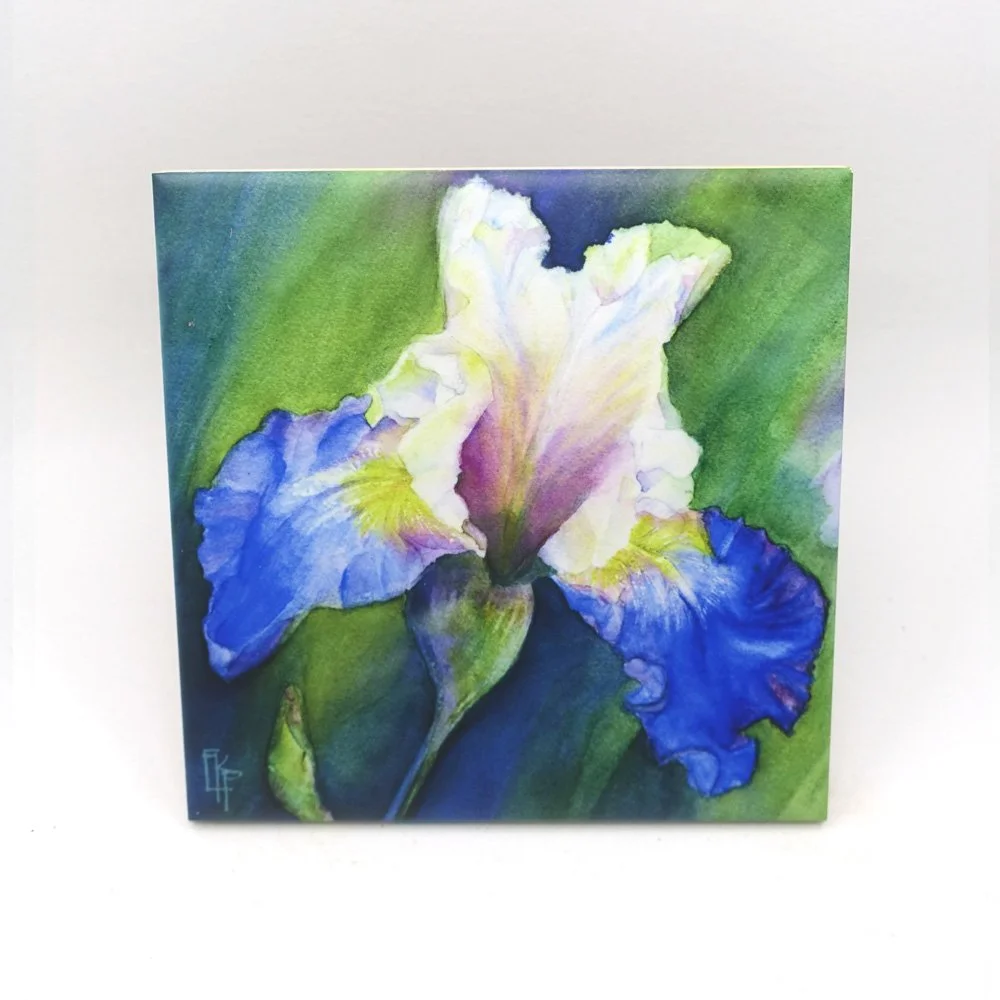 Iris 6x6.jpg