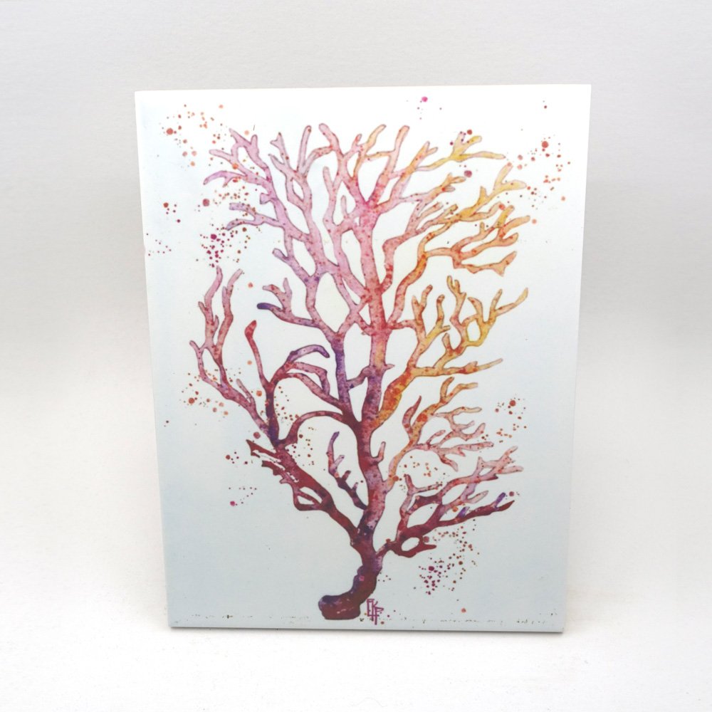 Magenta coral