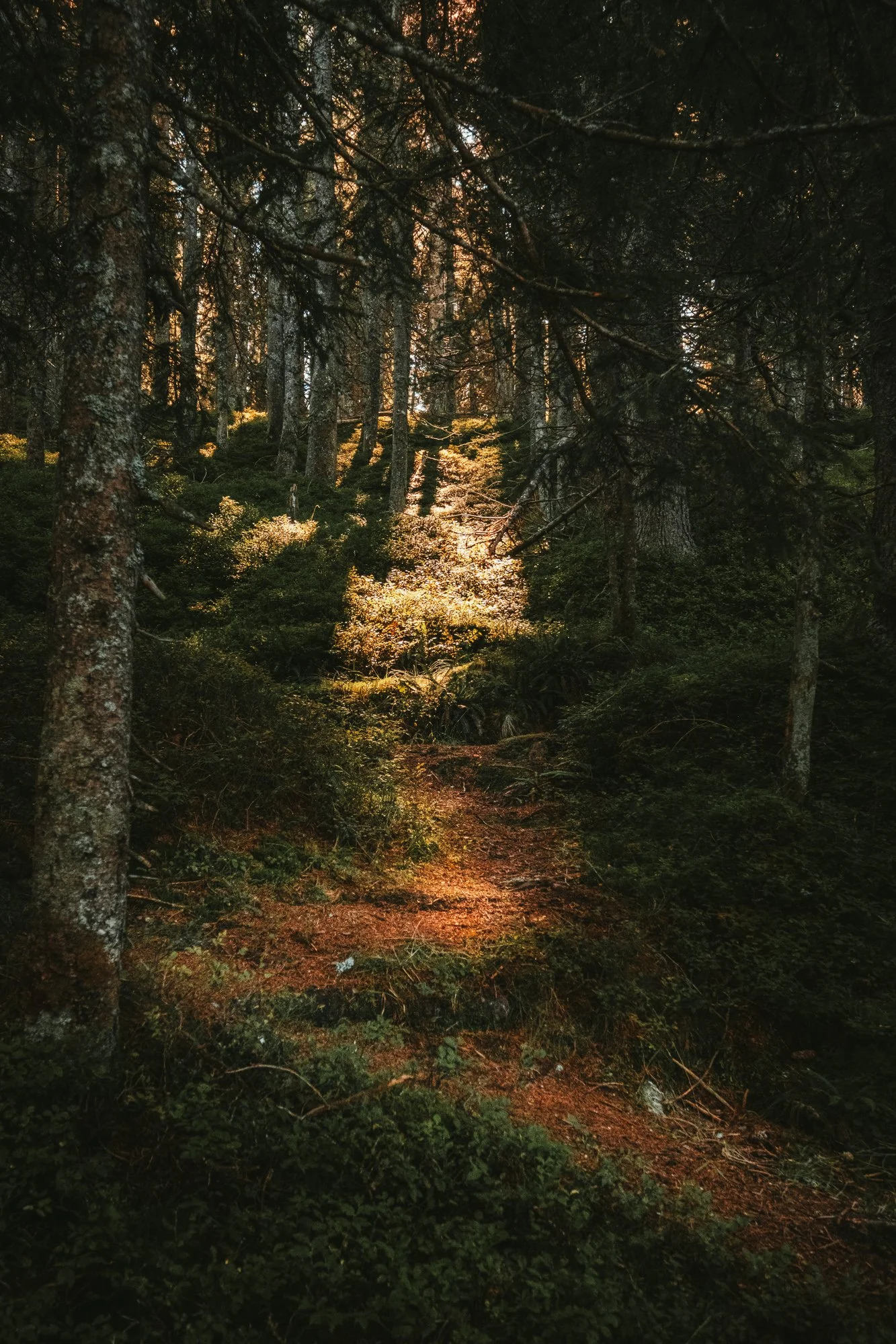 K Landscape-145.jpg