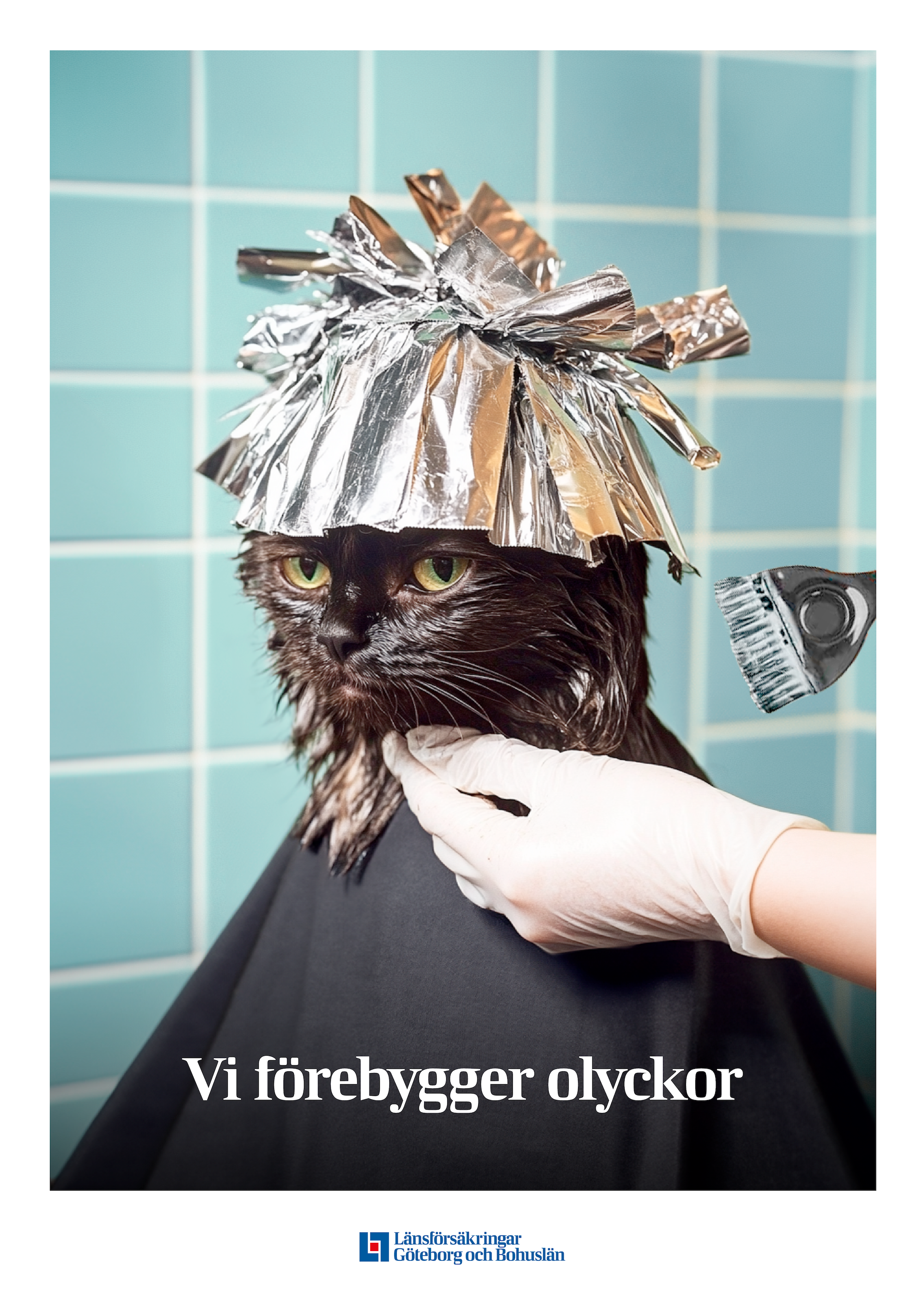 Katten.png