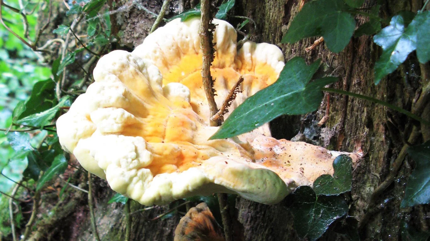 After a Hot July ... What Next?