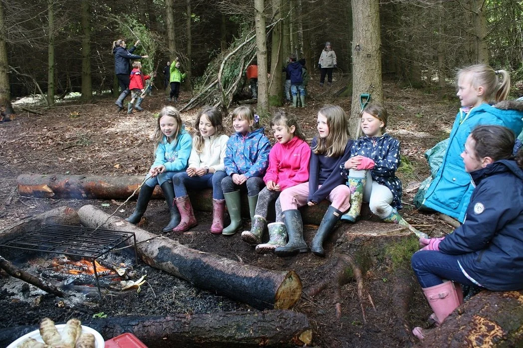 £730,000 National Lottery boost to Fingle Woods' restoration