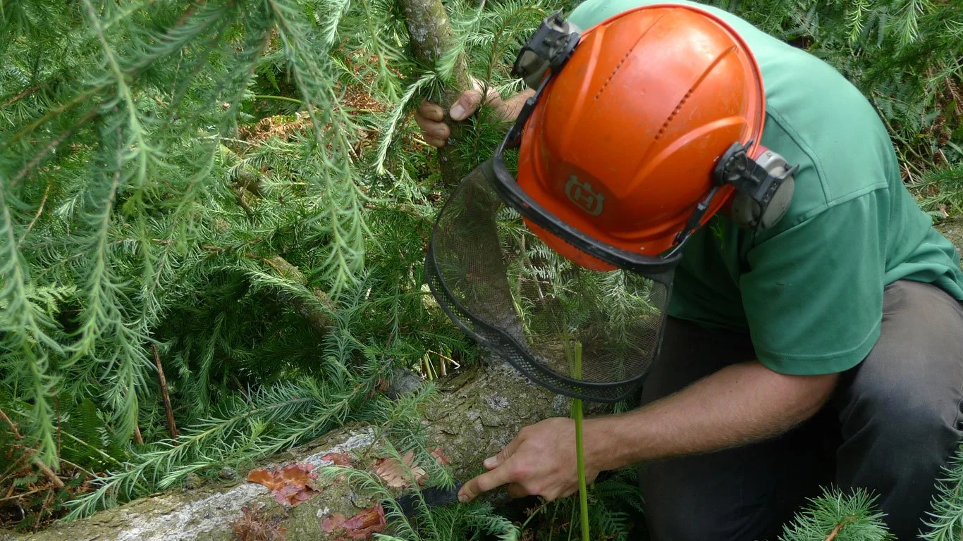 A talk and a deer walk - October's Fingle Lectures