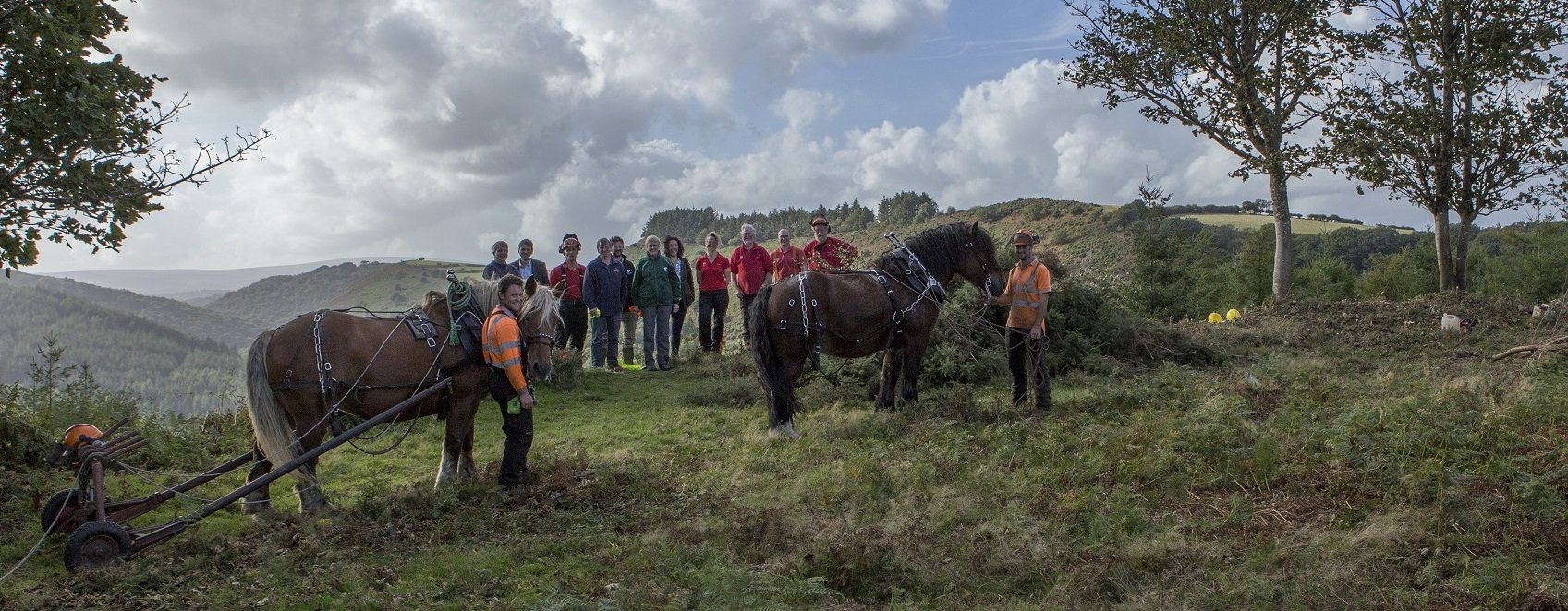 New Woodland Trust Chair of Trustees visits Fingle