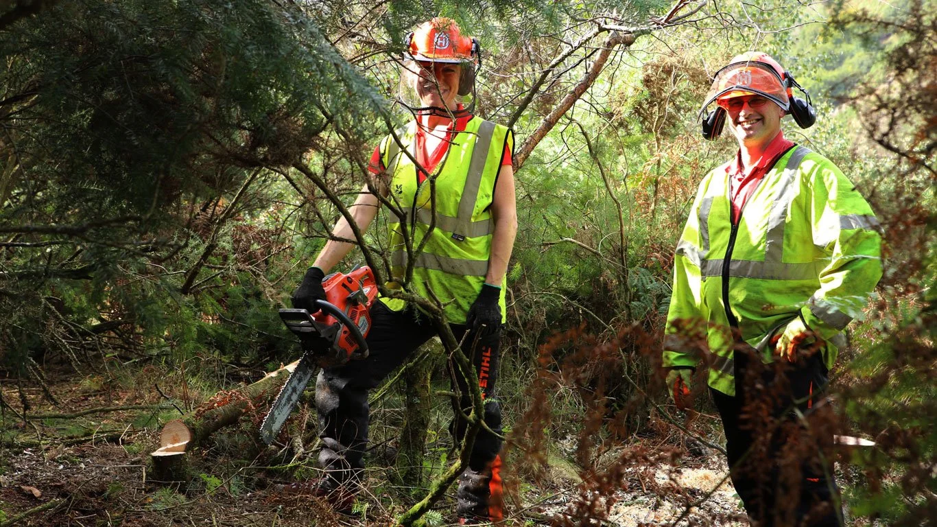 Volunteers Reveal Fingle's Historic Past