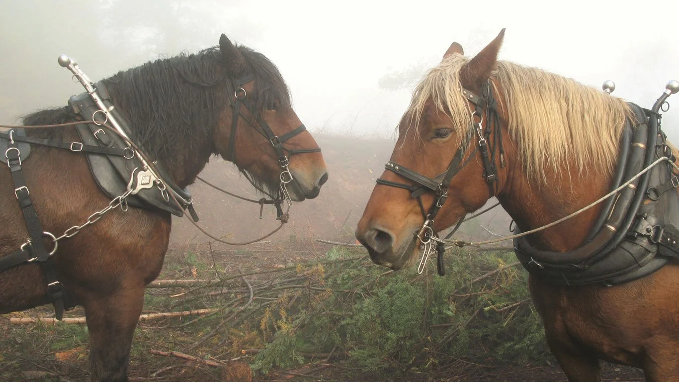 The Boys Are Back … in the Bronze Age