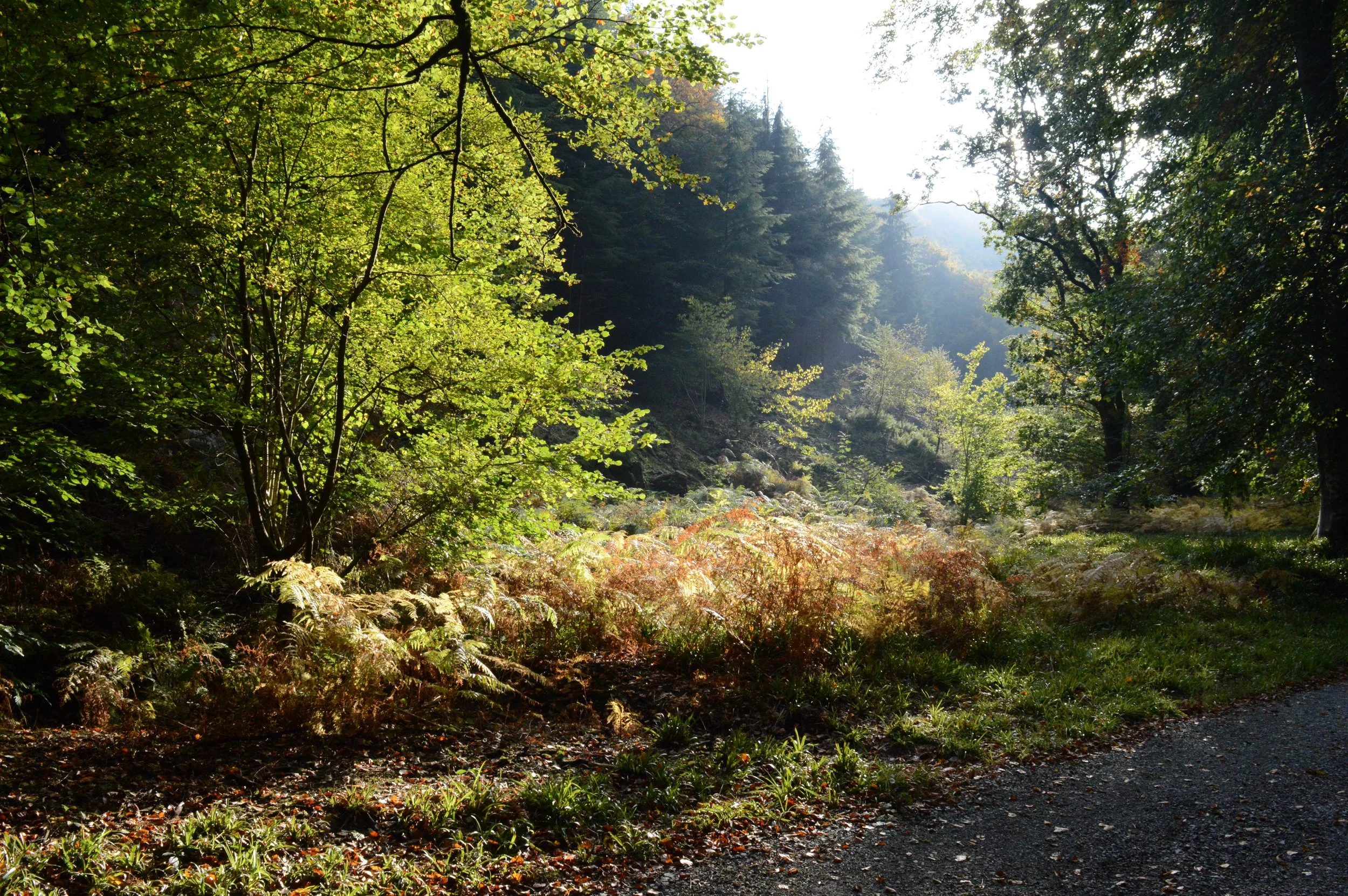 5 things to look out for this autumn