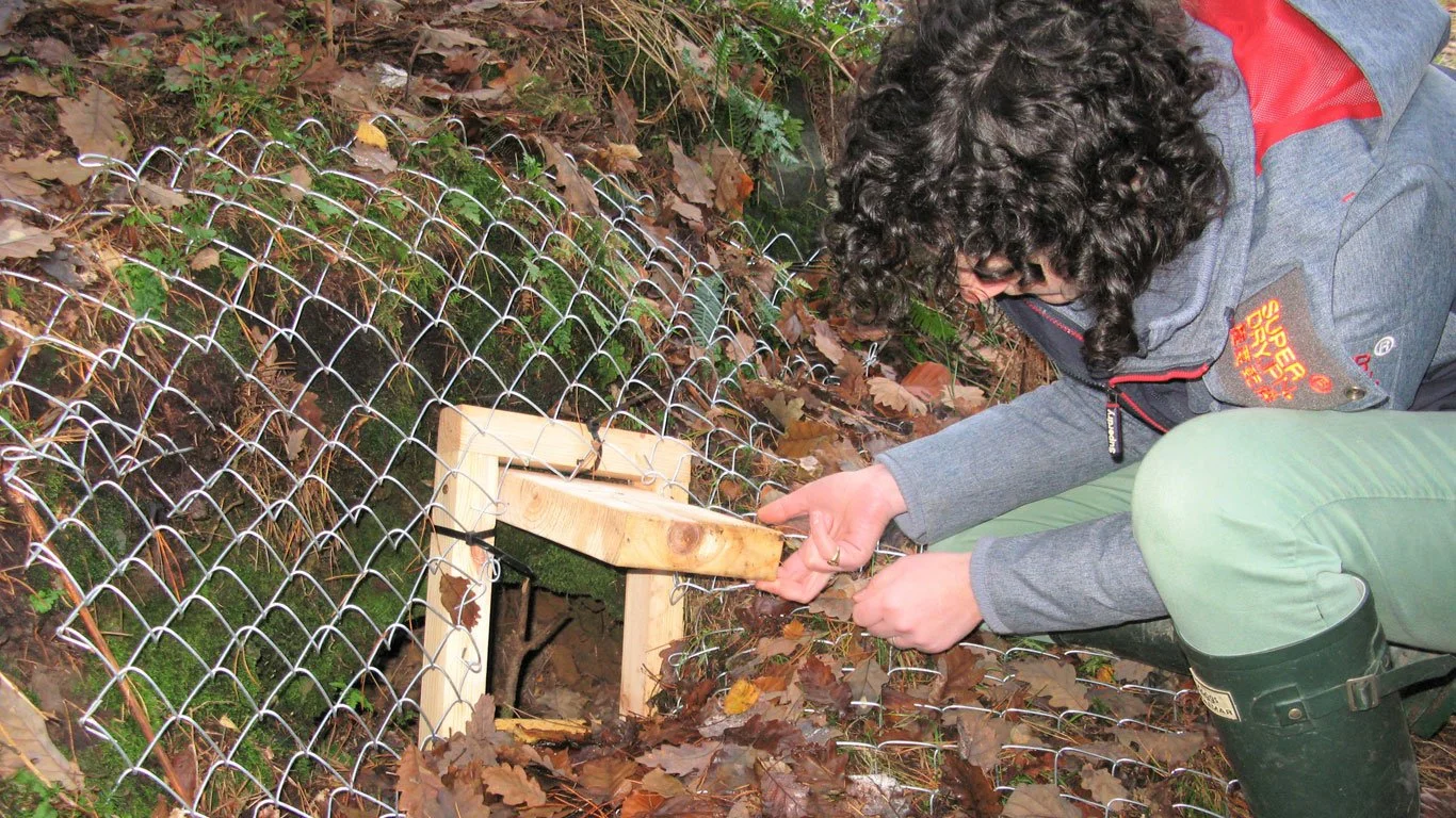 Exclusive Woodland Homes – The Badger Sett