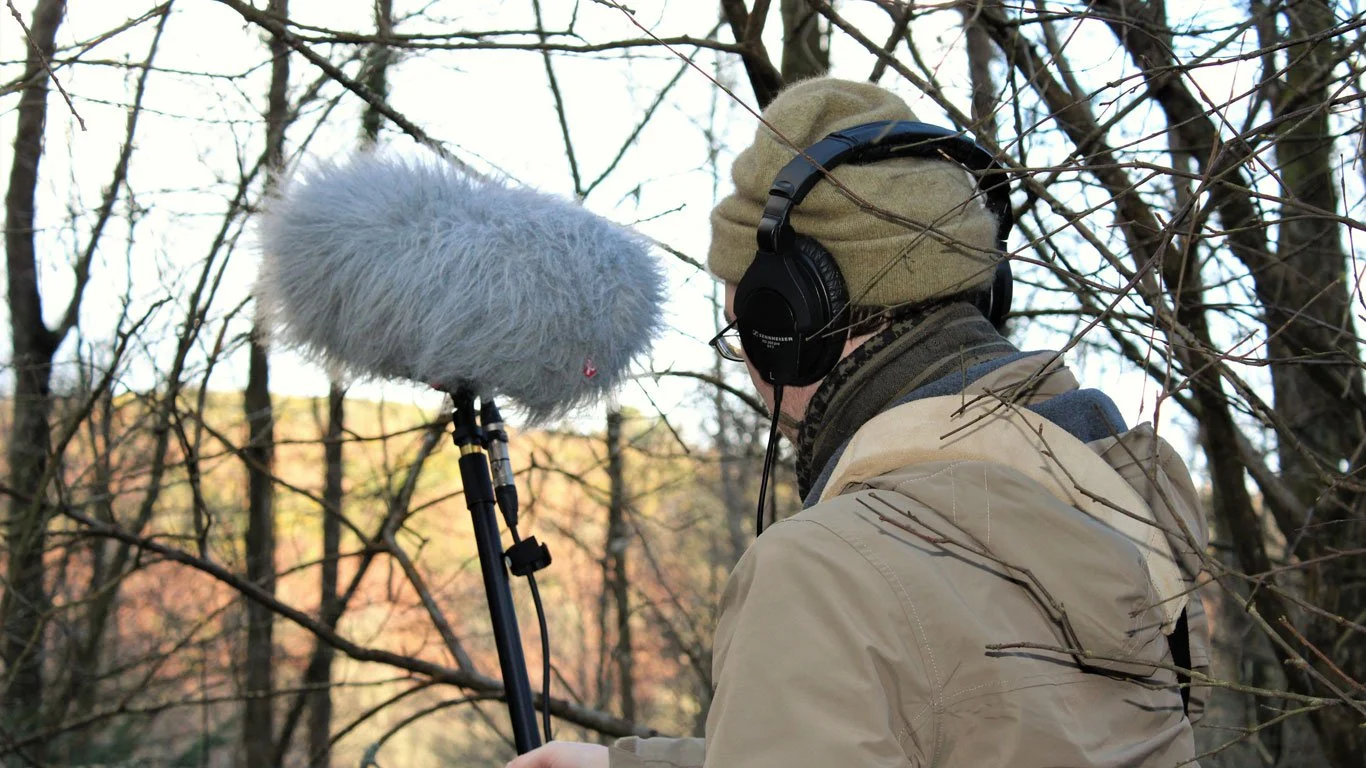 Surround Sound – A Sense of the Winter Woods