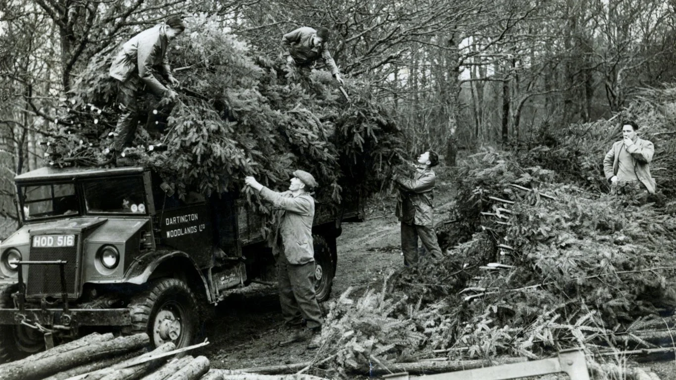 Fingle Lecture Series 2017: What’s On?