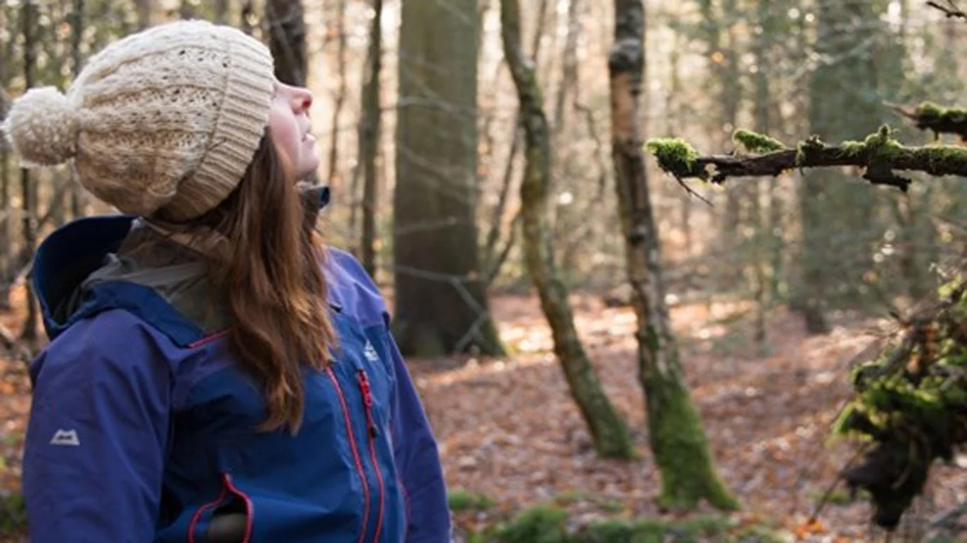 A career in conservation, archaeology or exhibition creation?