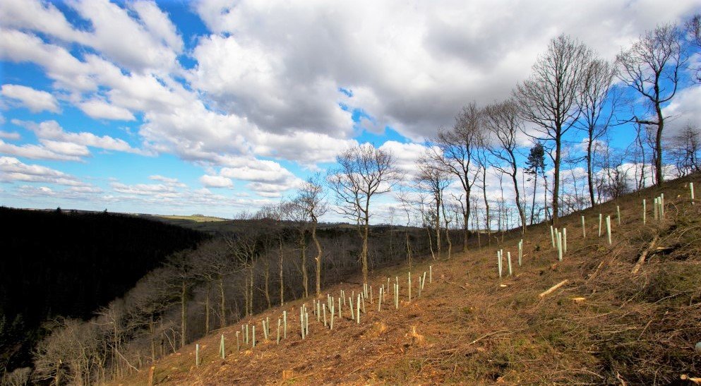 Caught on Camera - A Year of Change