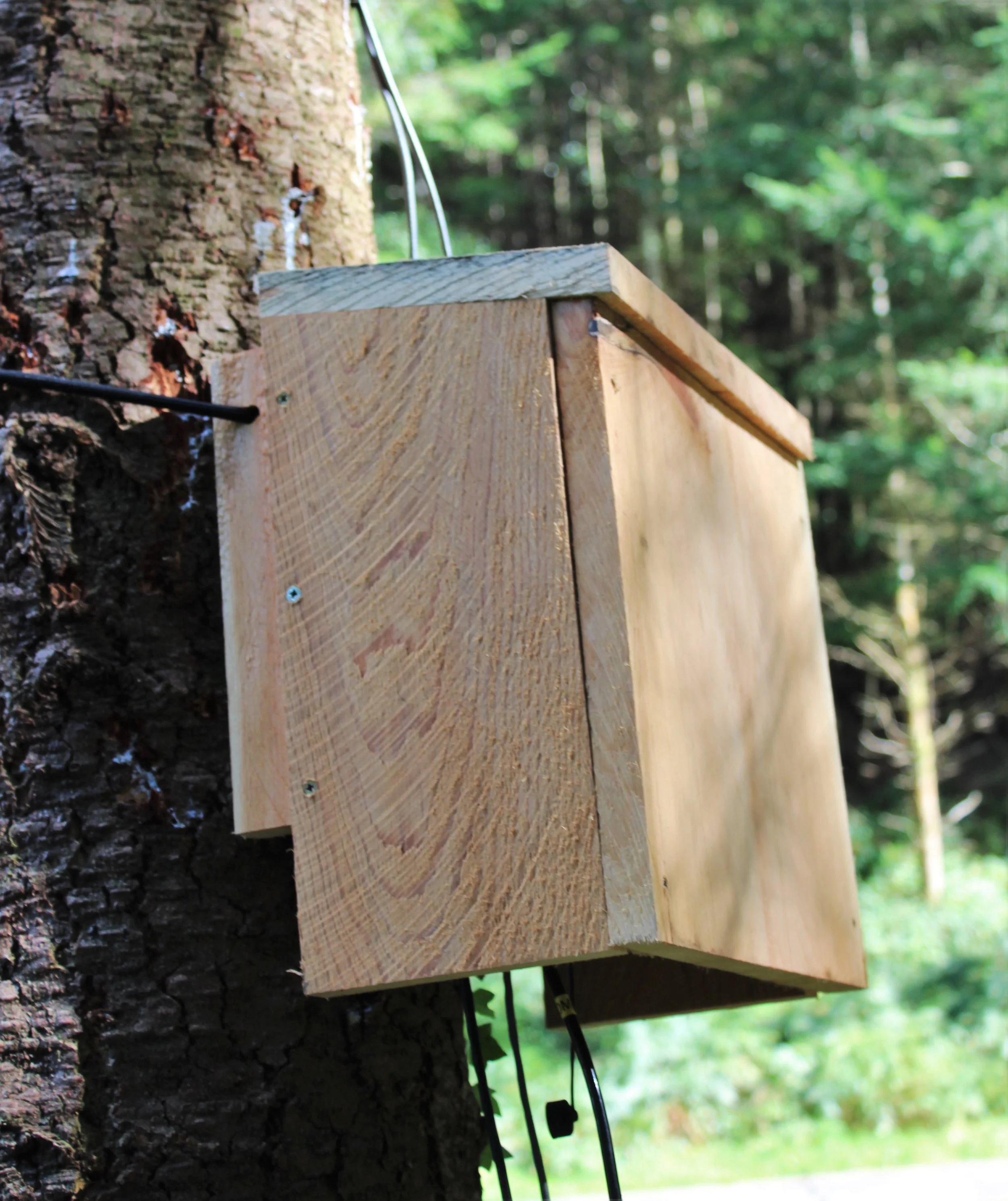 June's Fingle Lecture: Water Quality Monitoring