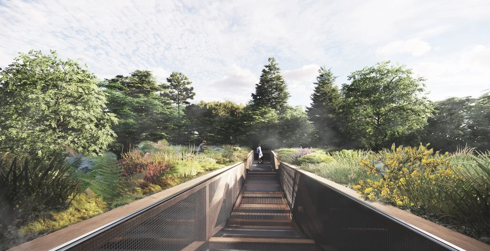 Europe’s First Temperate Rainforest Research Station